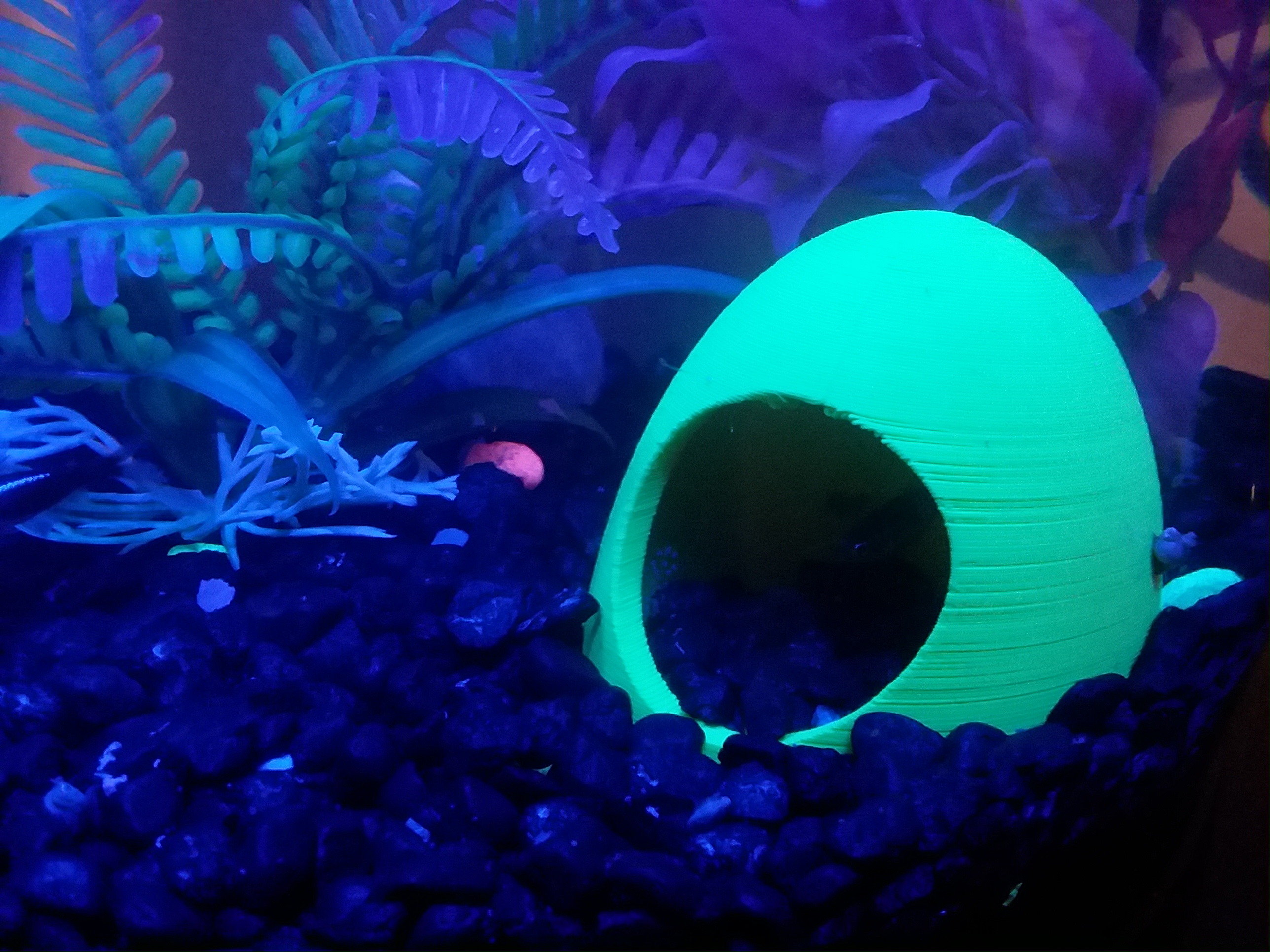 Fish House