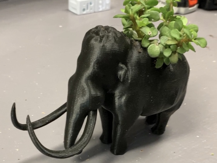 Wooly Mammoth Succulent Planter