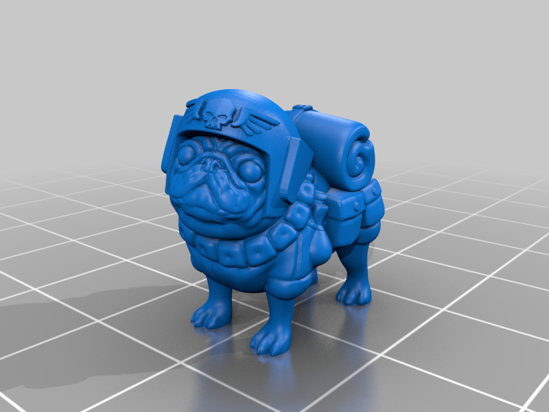 Cadian pug