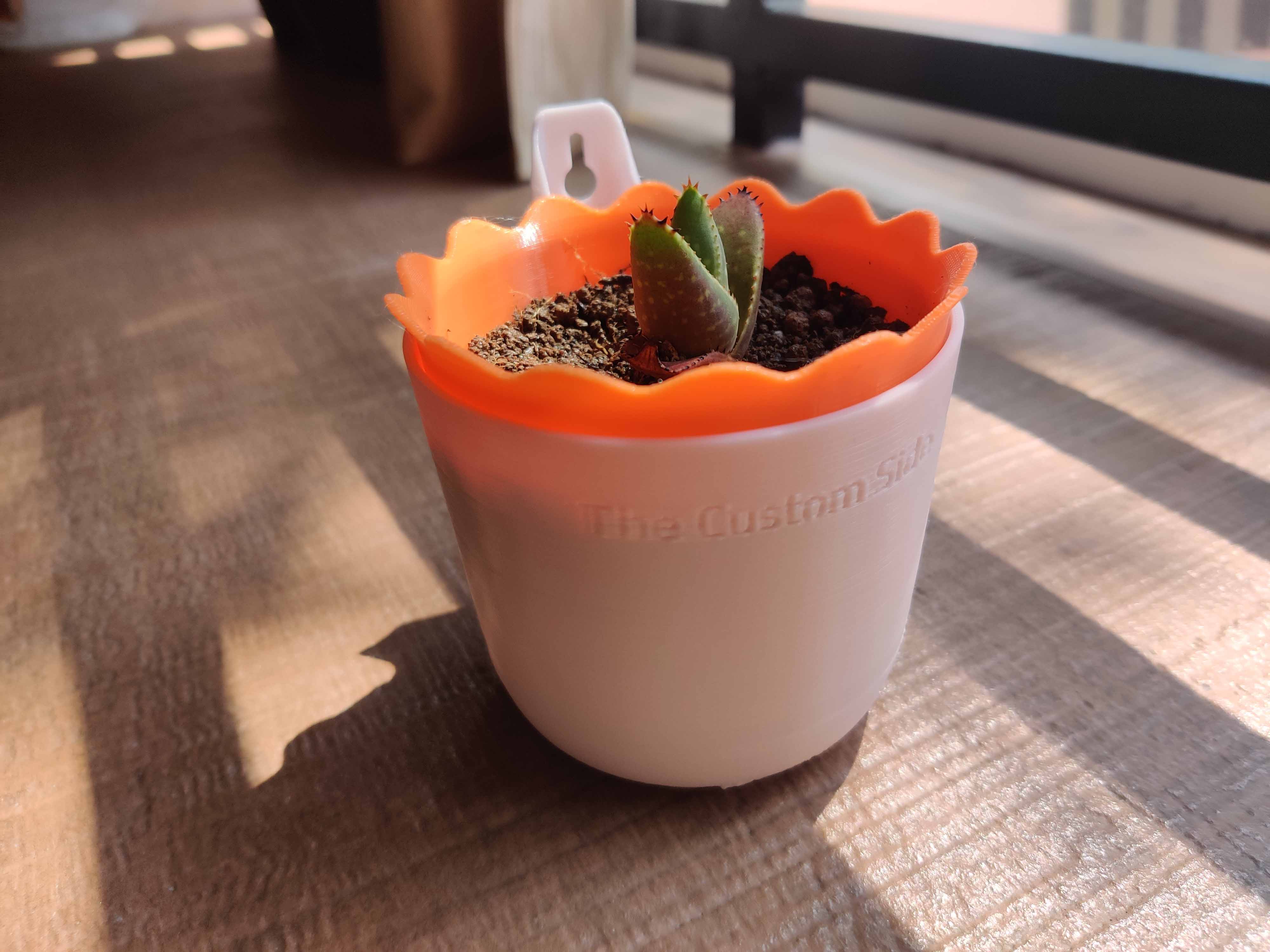 Wall mounted Self Watering Planter