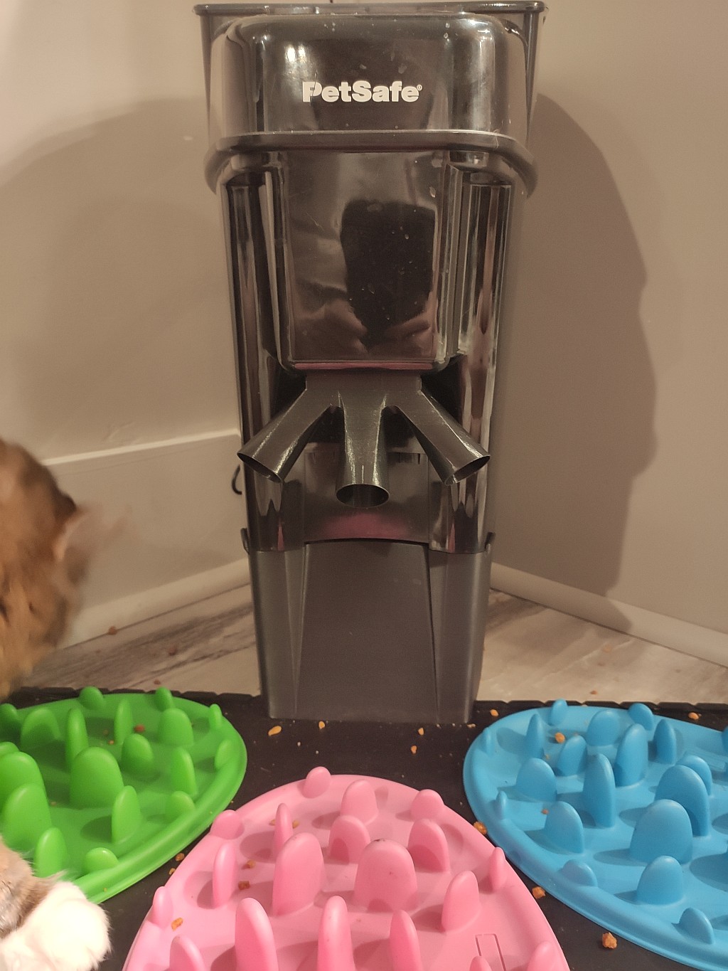 PetSafe Pet Feeder Splitter and Riser