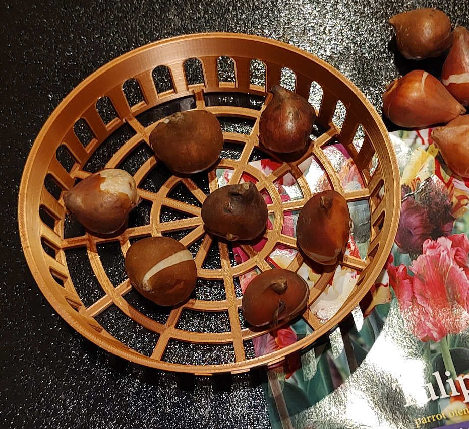 Bulb Basket