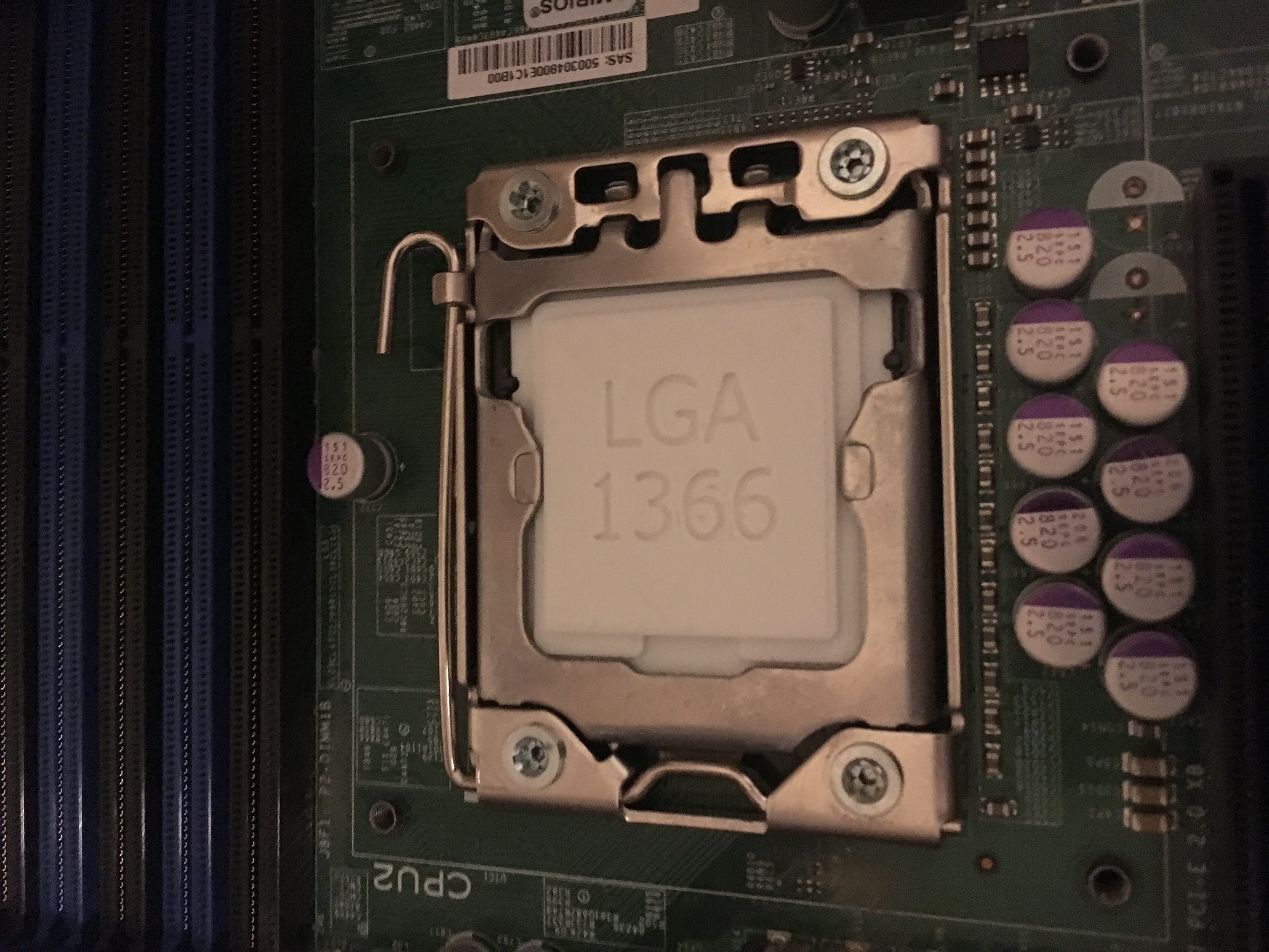 XEON LGA1366 Socket Processor Blank Mockup Insert