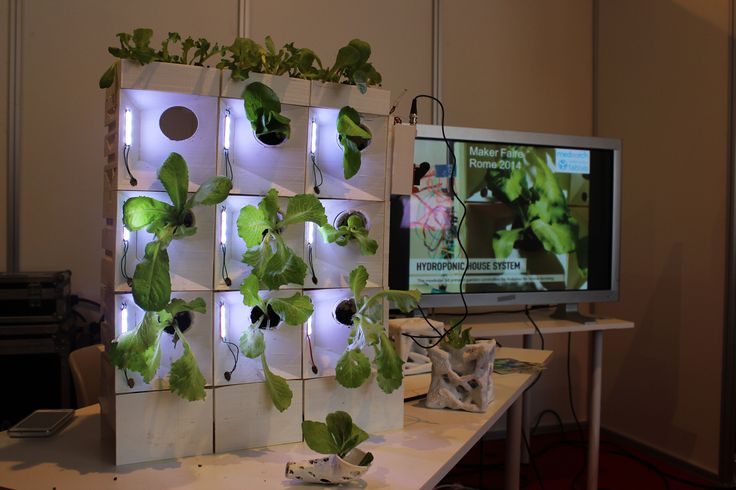 Hydroponic House System
