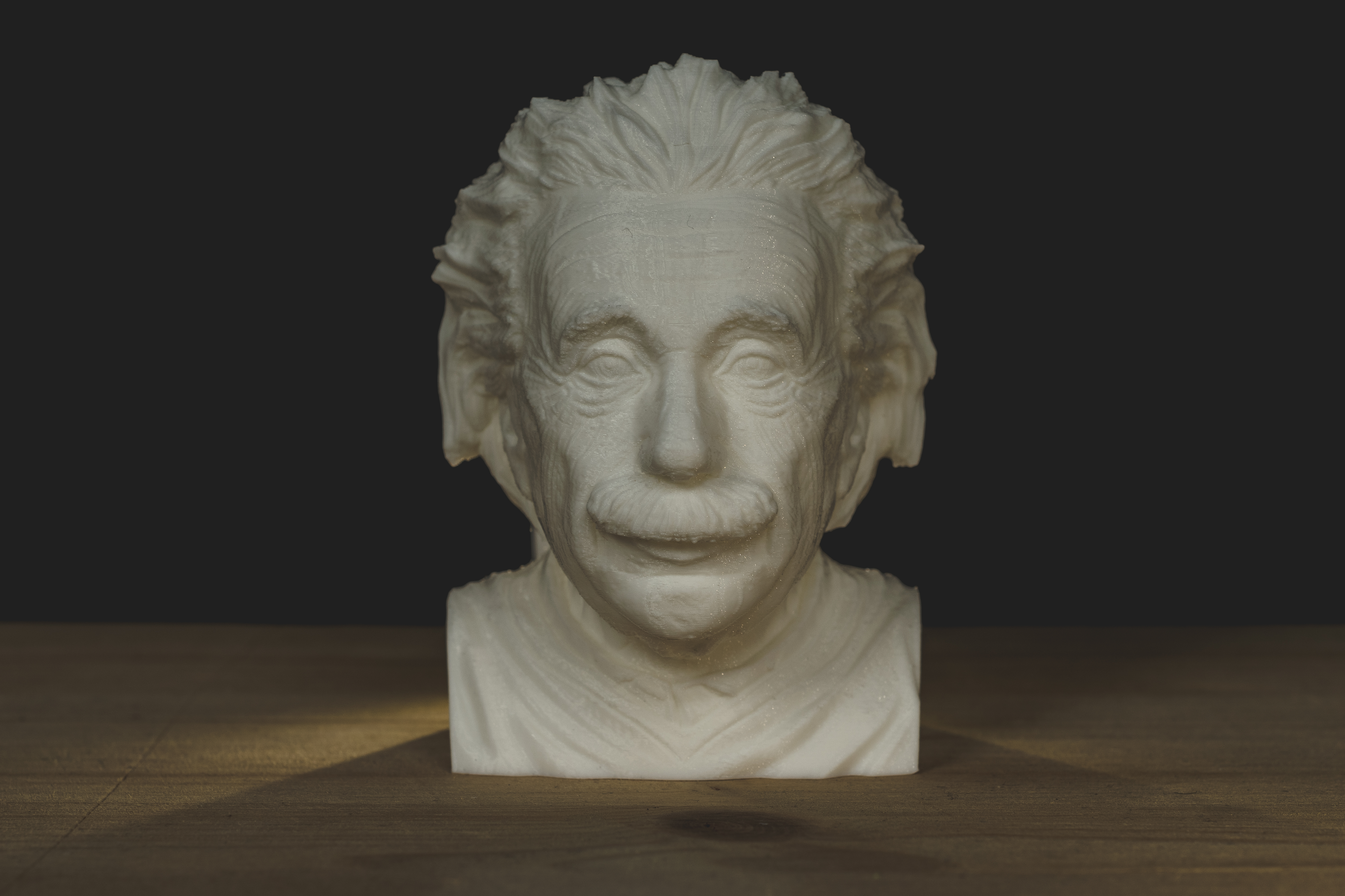 Albert Einstein Bust lite without shoulders