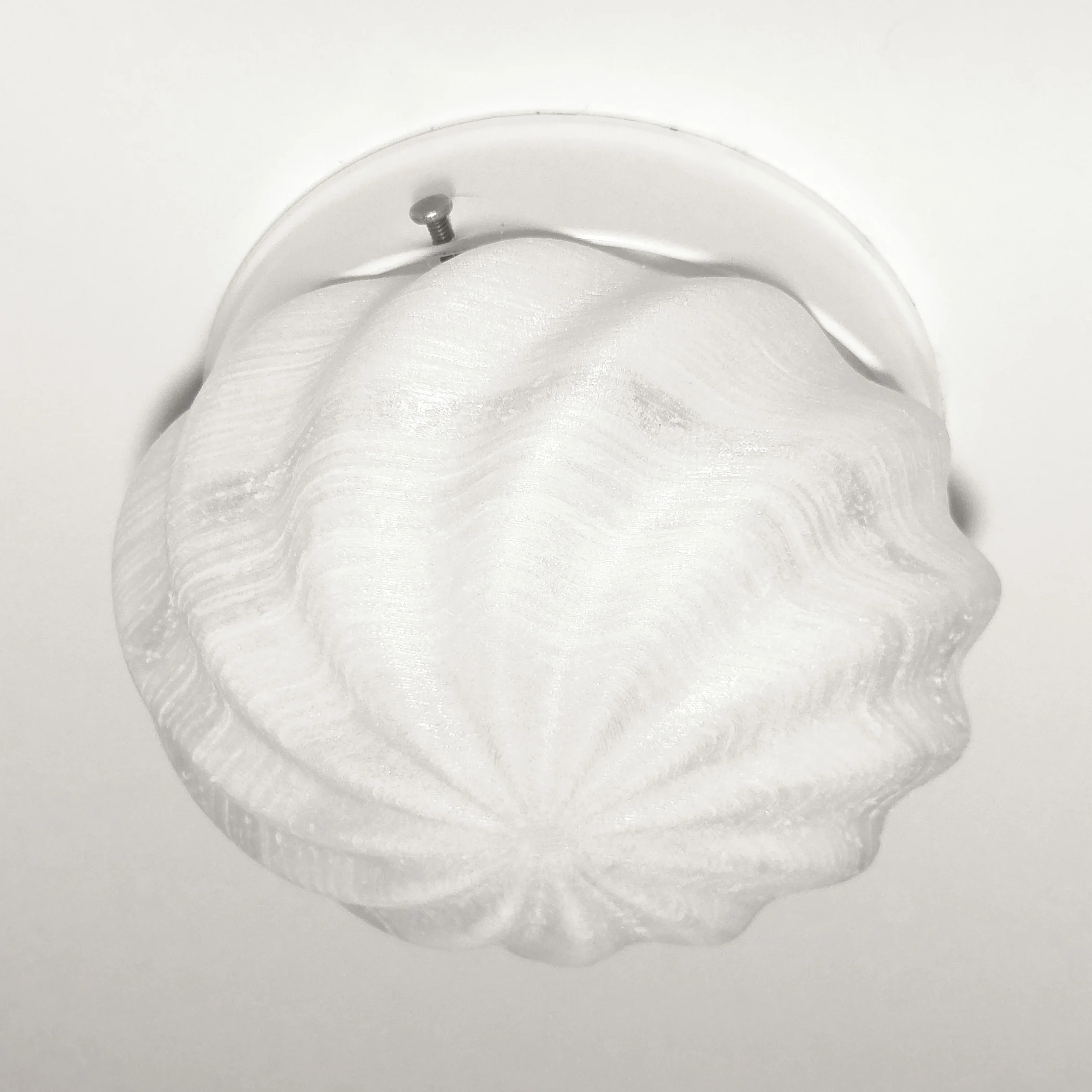 Ceiling Light Cover / Ceiling Lamp Globe