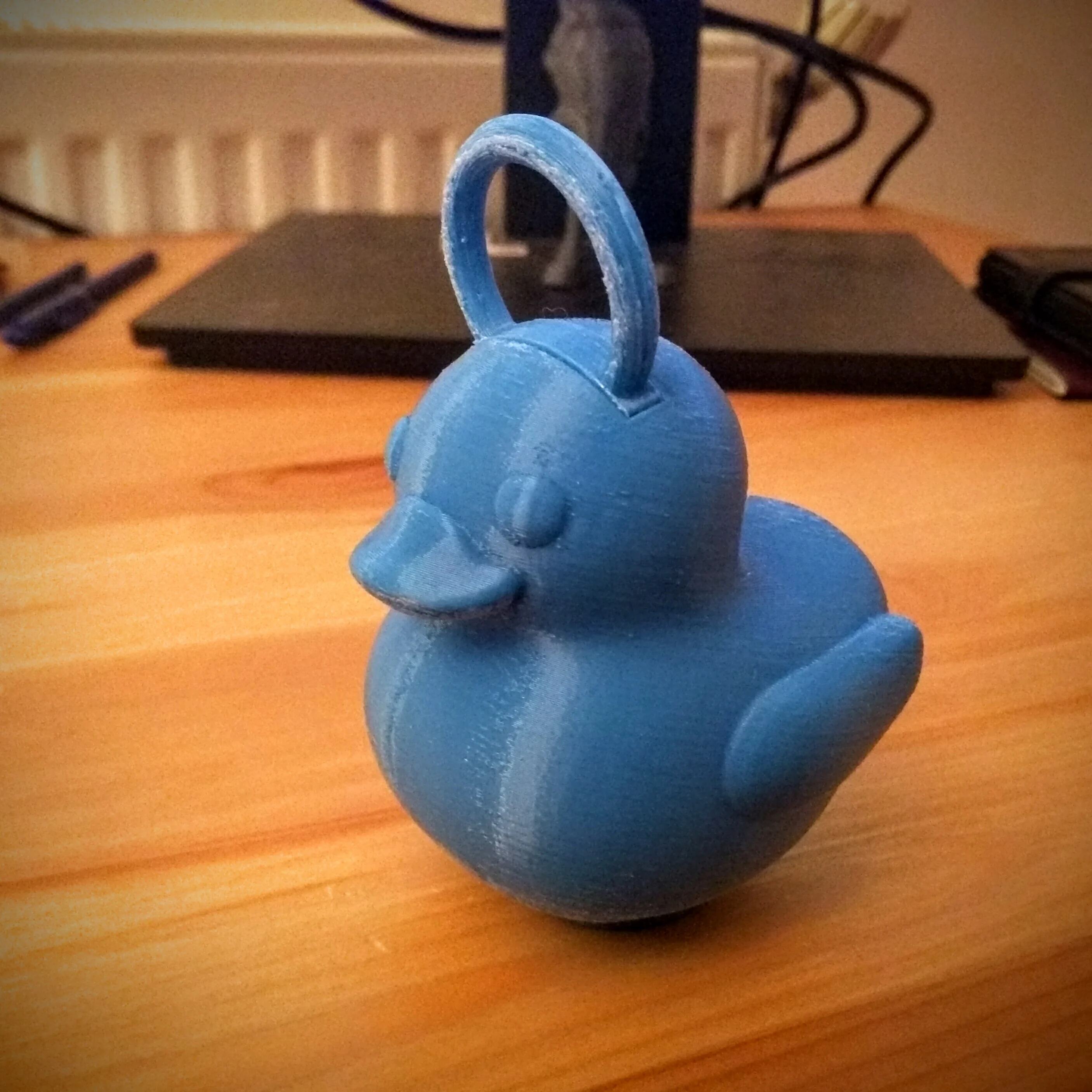 Fishing Duck