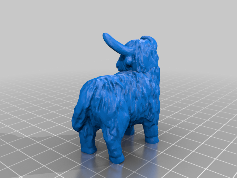 Highland Cow - Full