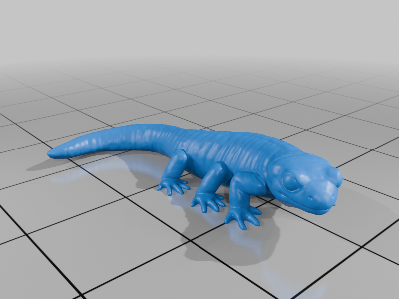 Salamander