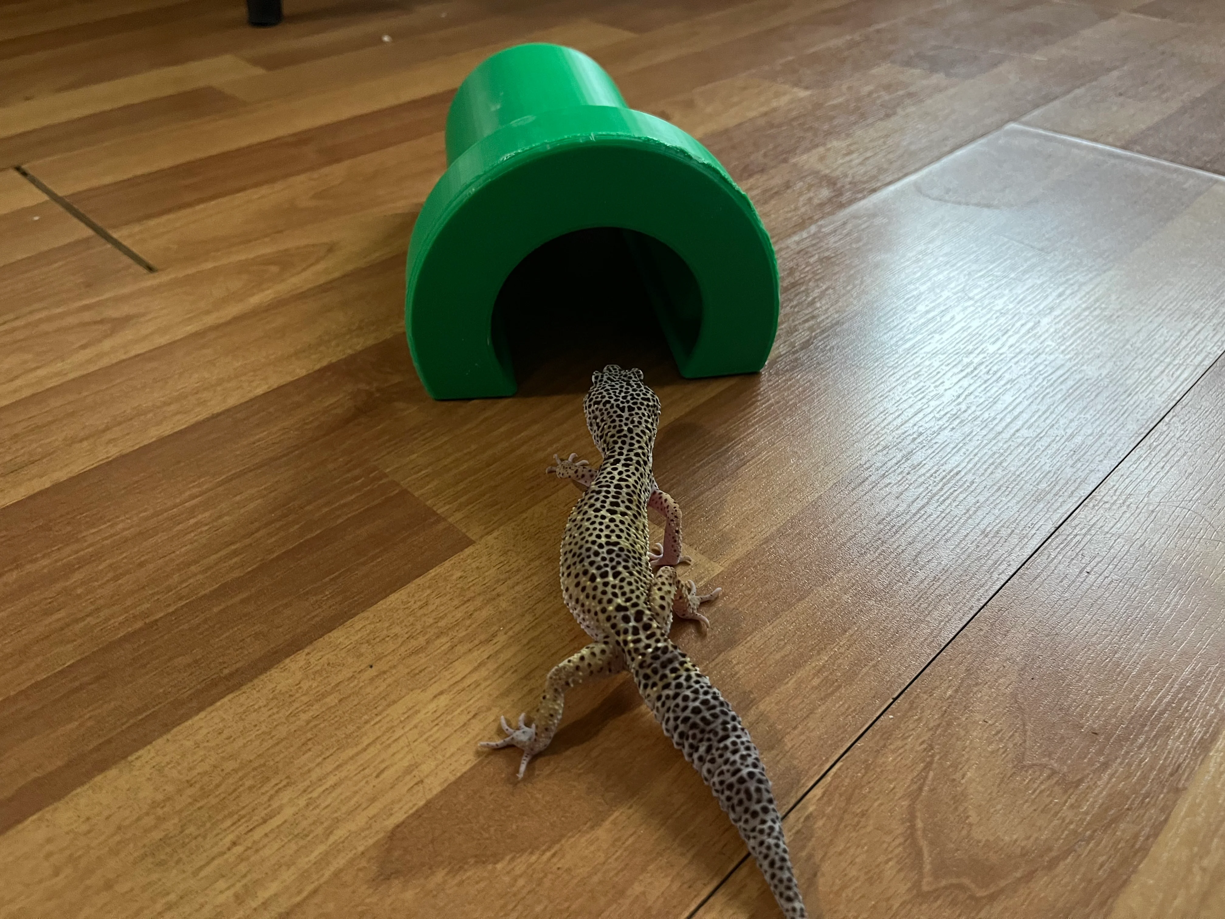 Reptile Hide, Mario-Themed Warp Pipe Decor (Free Version)