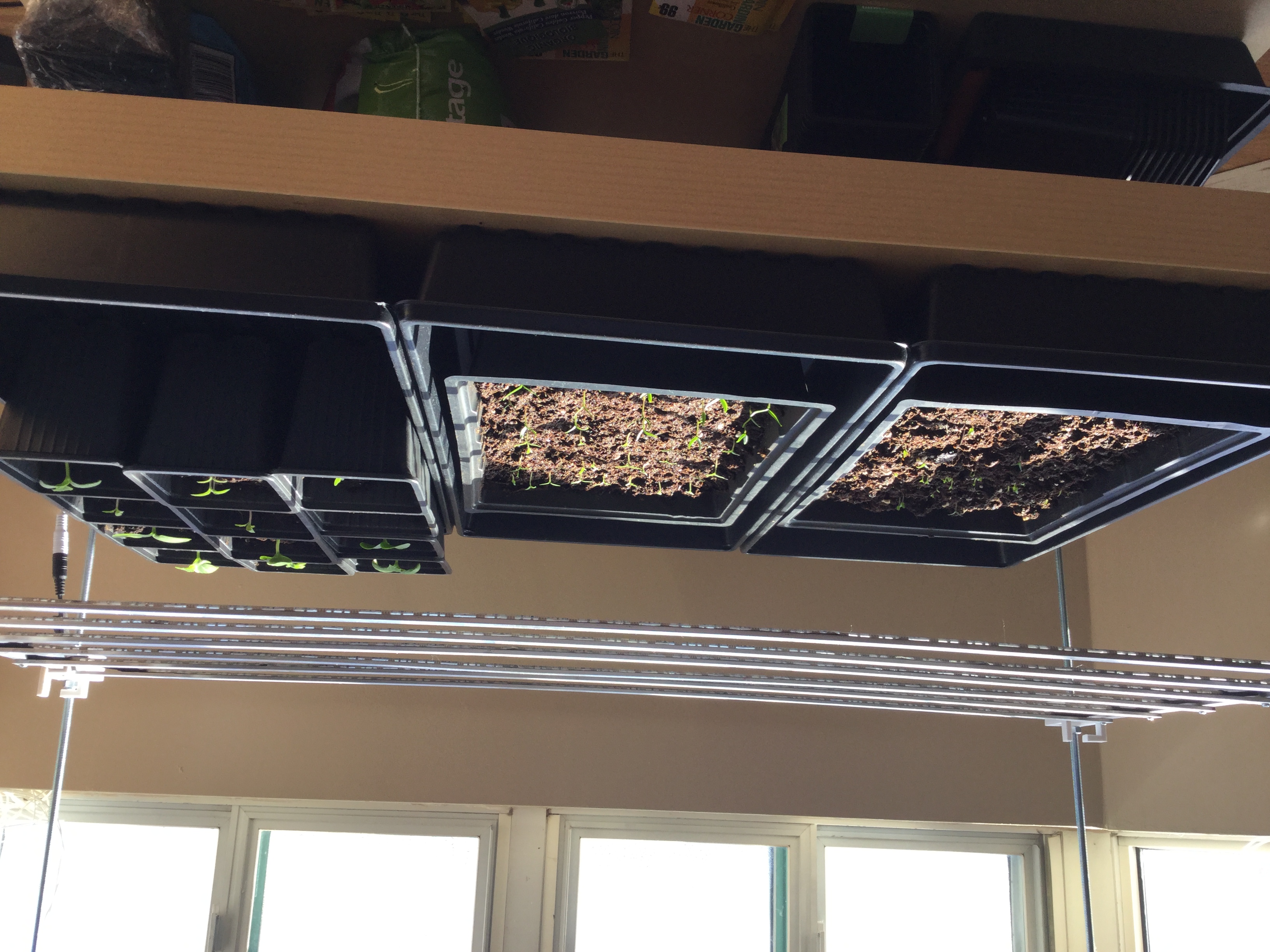Grow Lamp for Indoor Garden