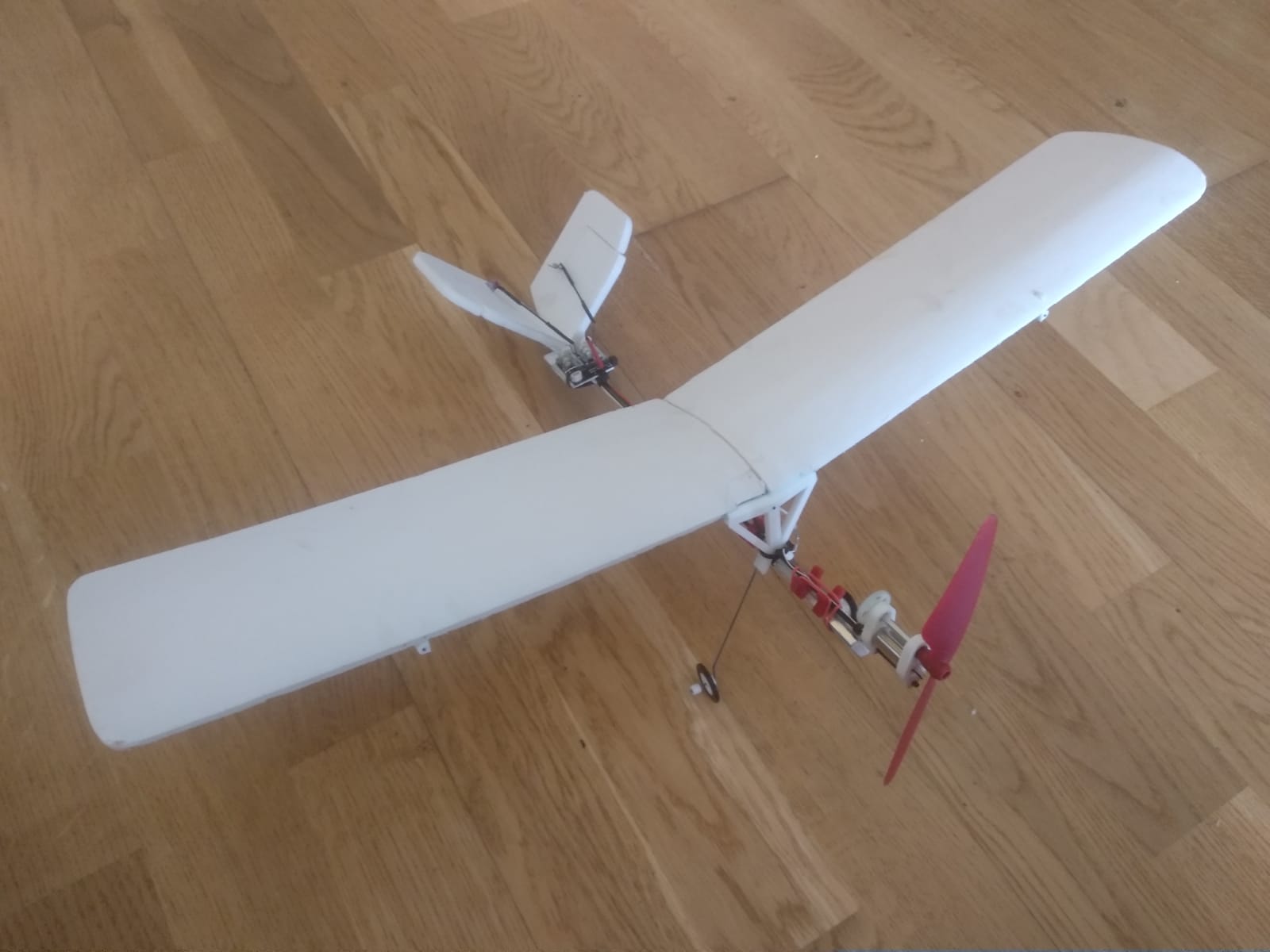 WASP - an RC lightweight plane