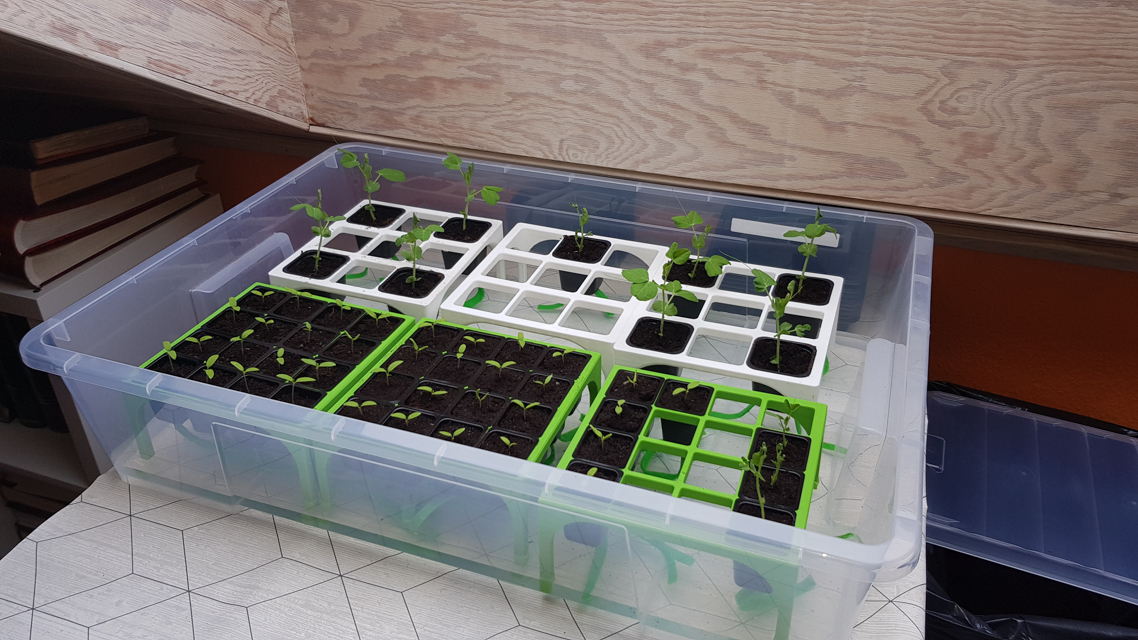 Selfwatering plantstand