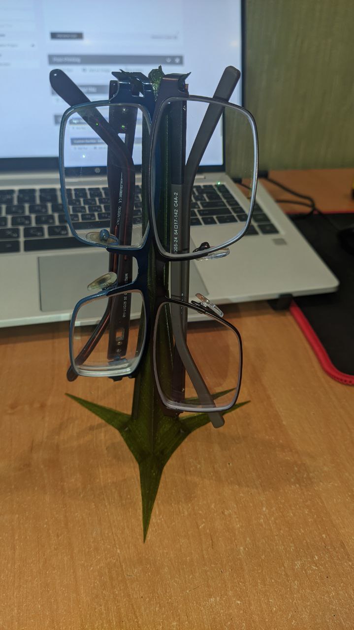 Glasses stand