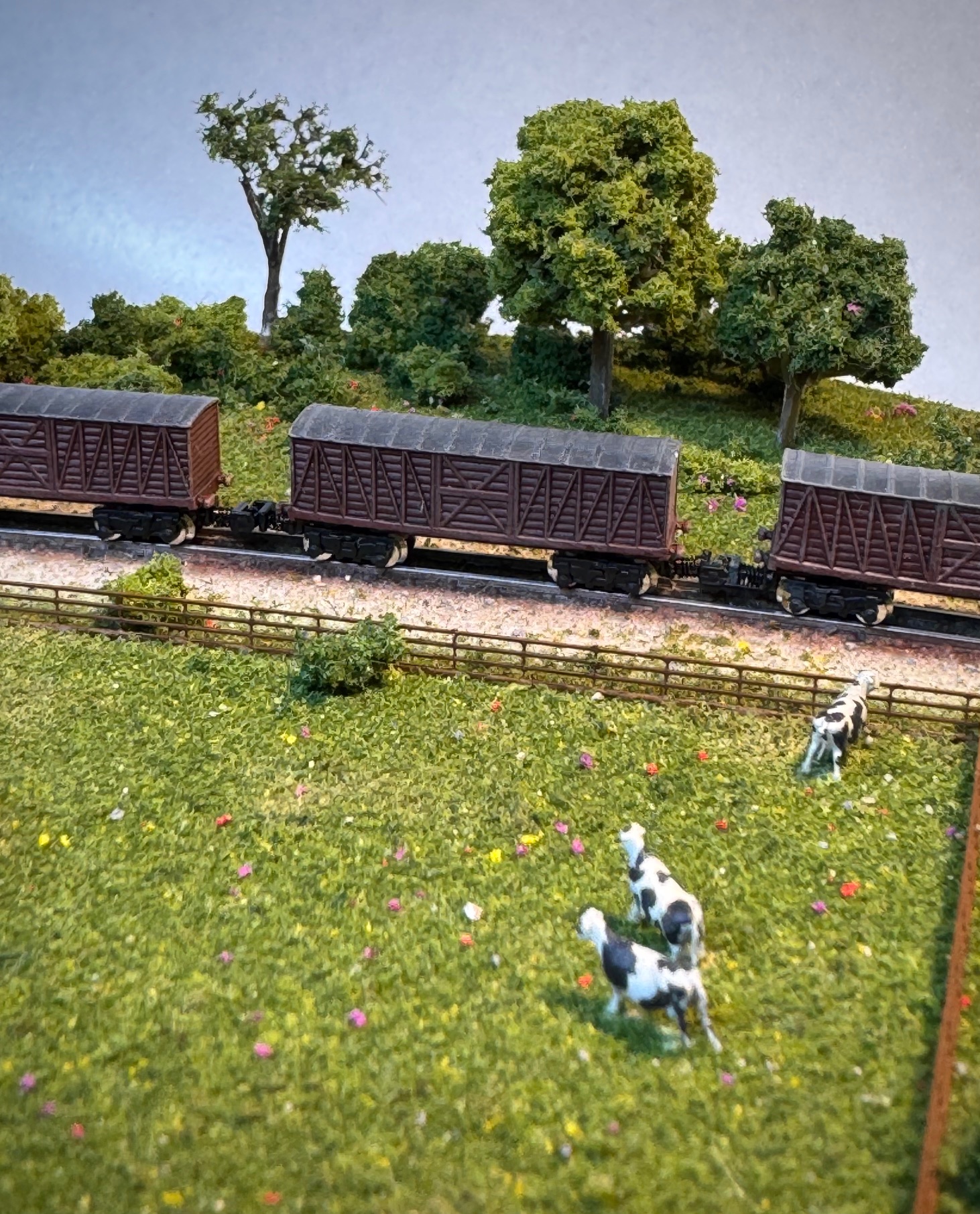 T Gauge / 1:450 Livestock Wagons