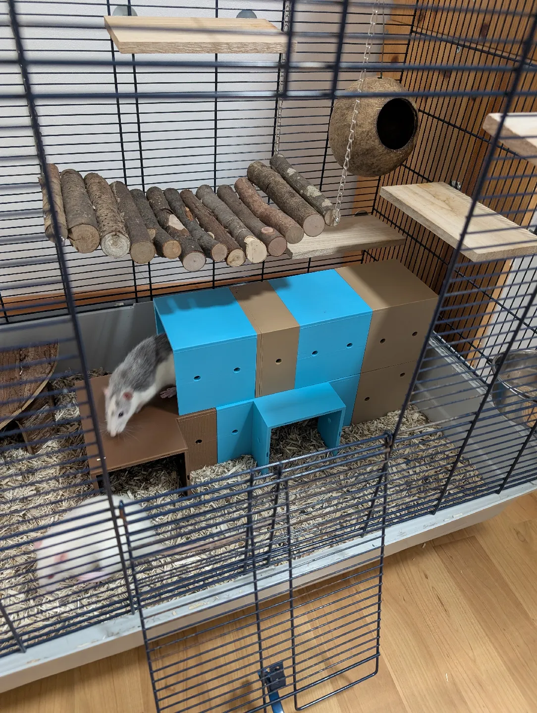 Modular Rat & Rodent HQ - Customizable Tunnel / House System (100mm)