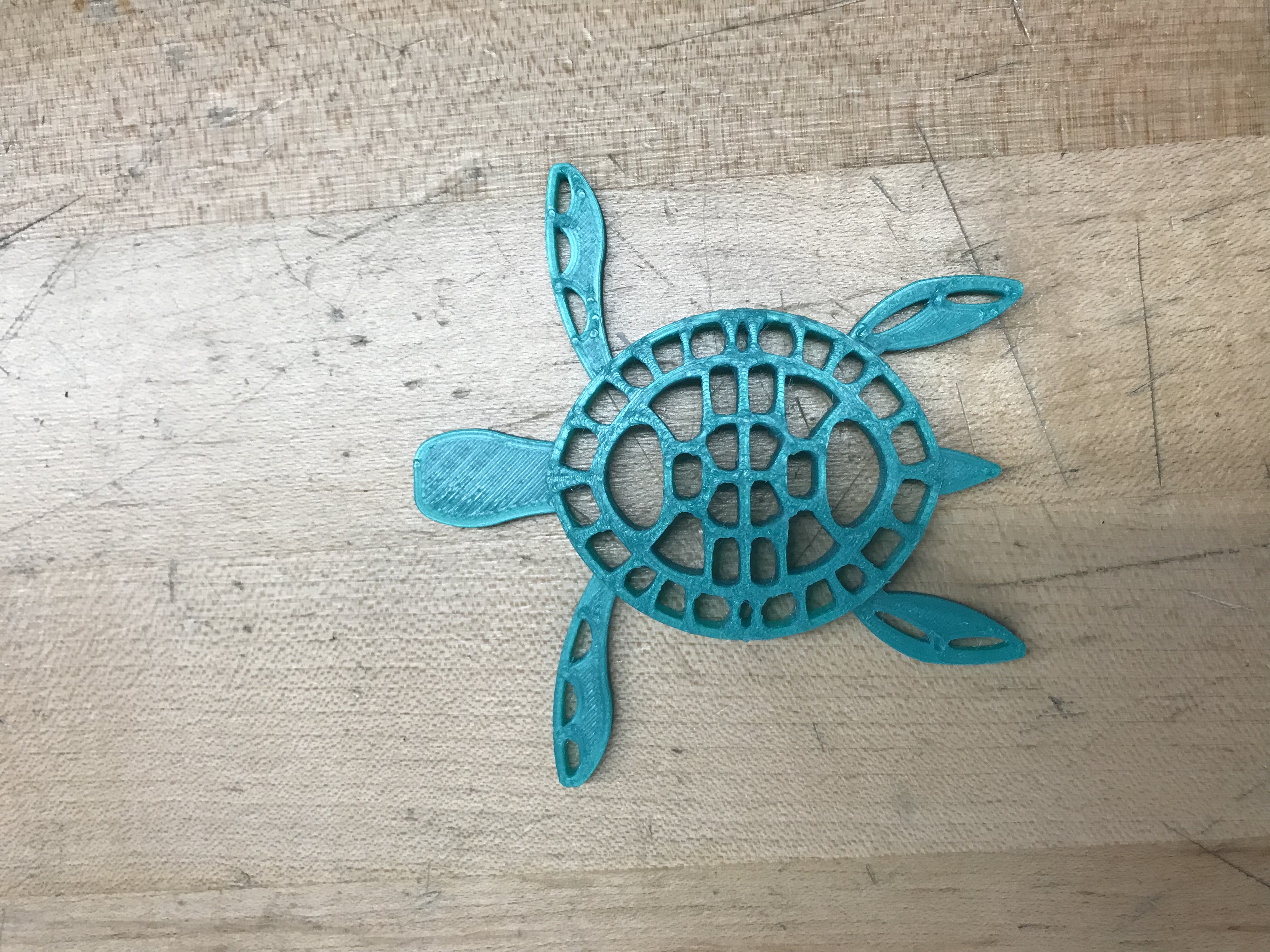 Turtle