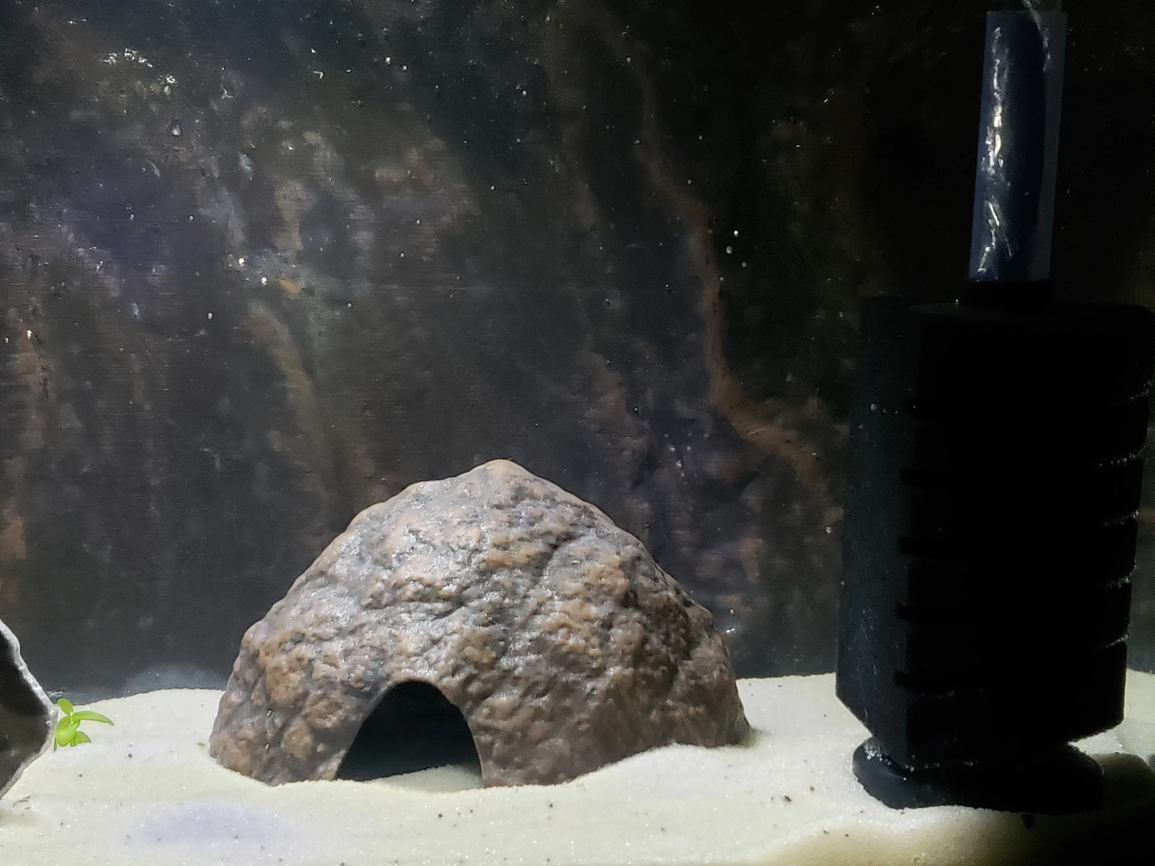 Aquarium Decoration - Textured Coconut Half