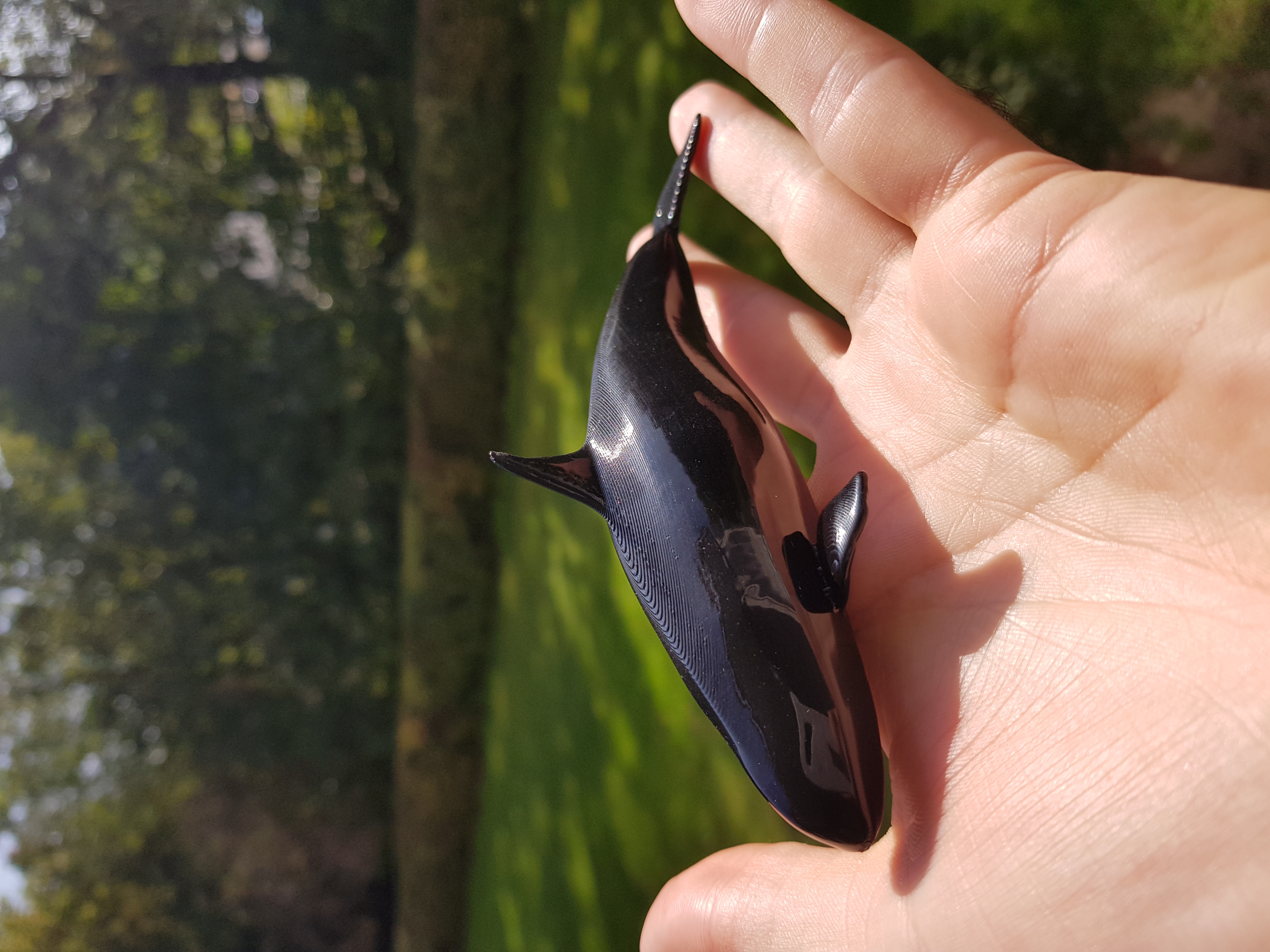 Orca