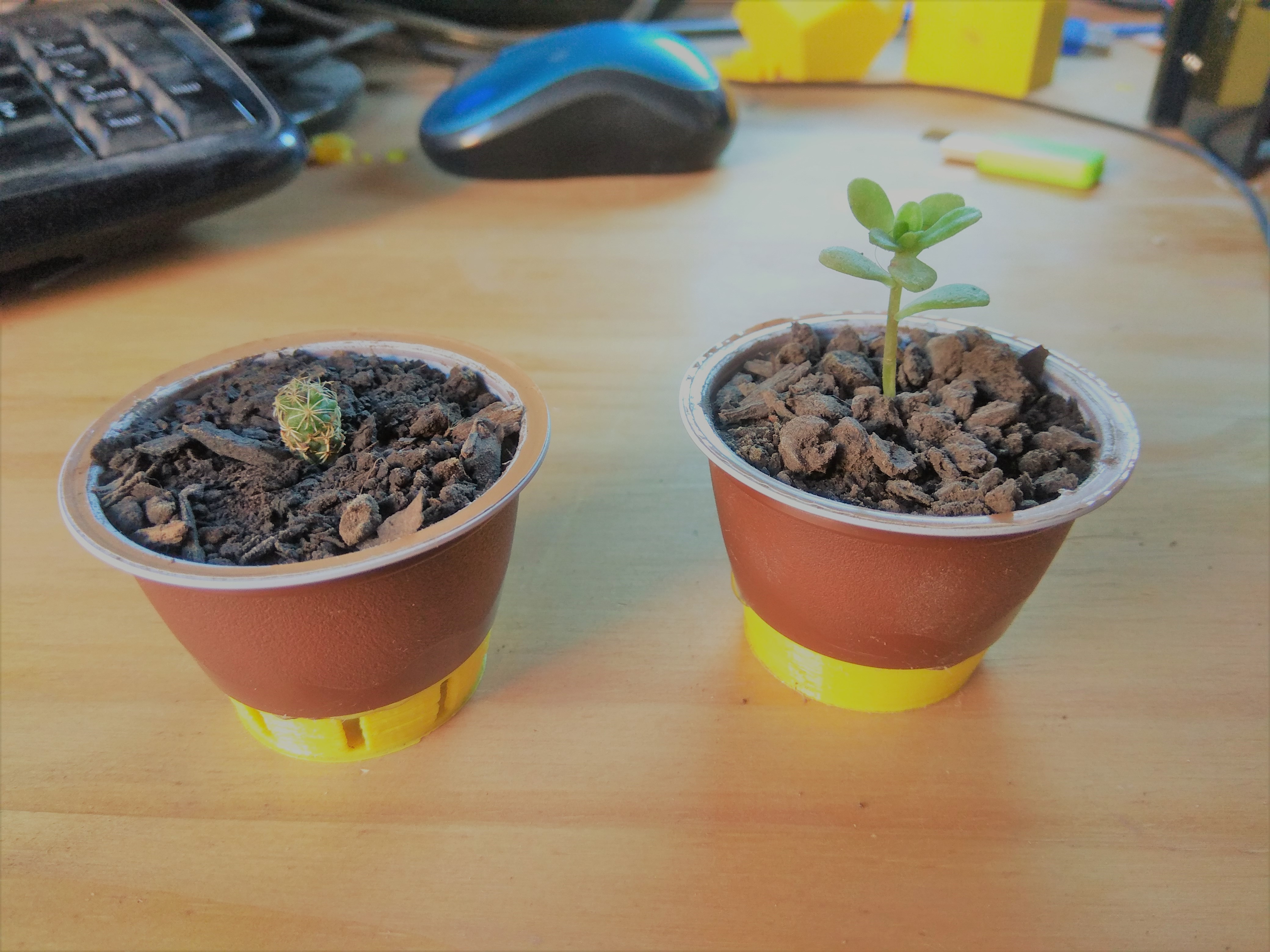 Dolce Gusto Flower pot