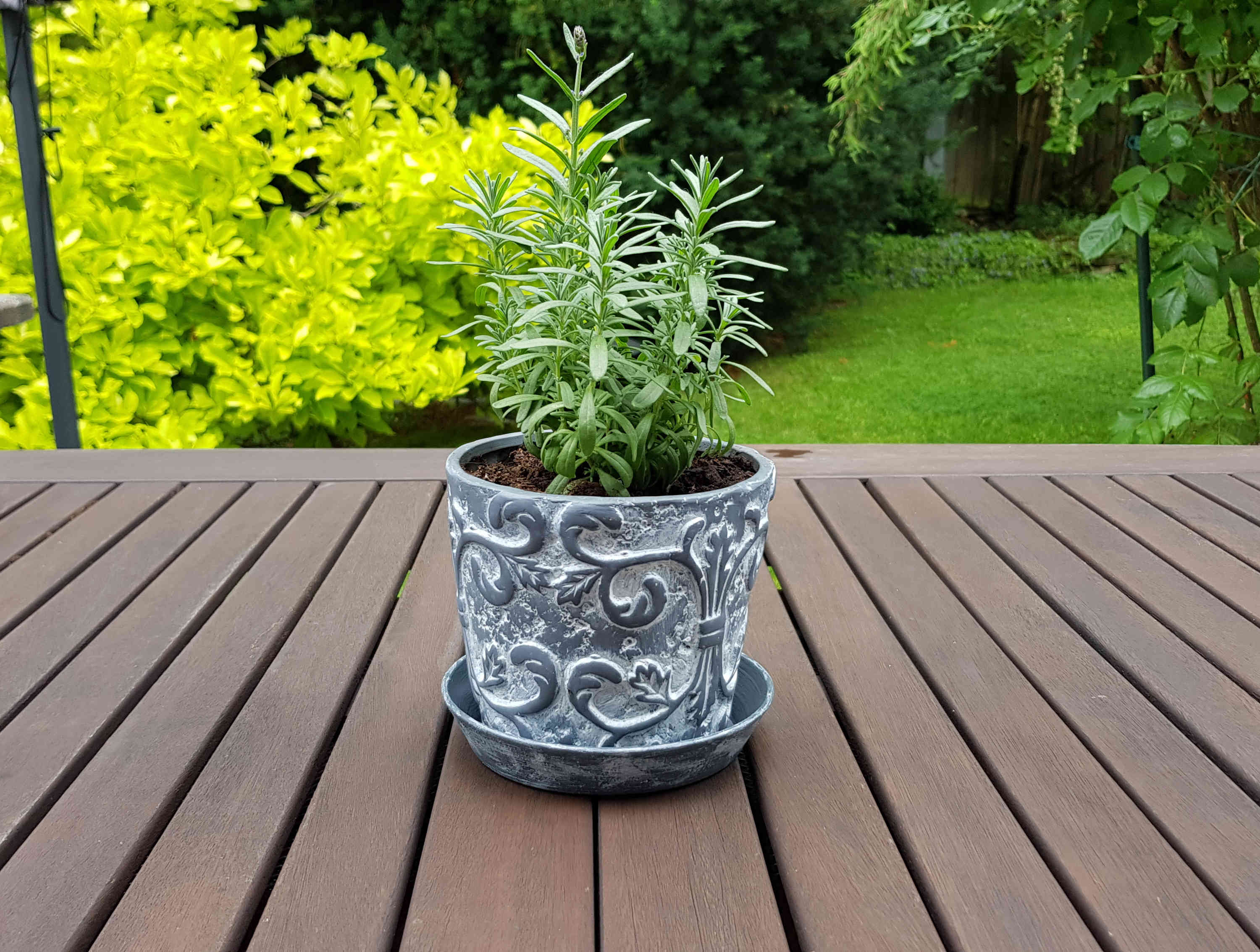 Plant Saucer (ID 110mm; OD 140mm)