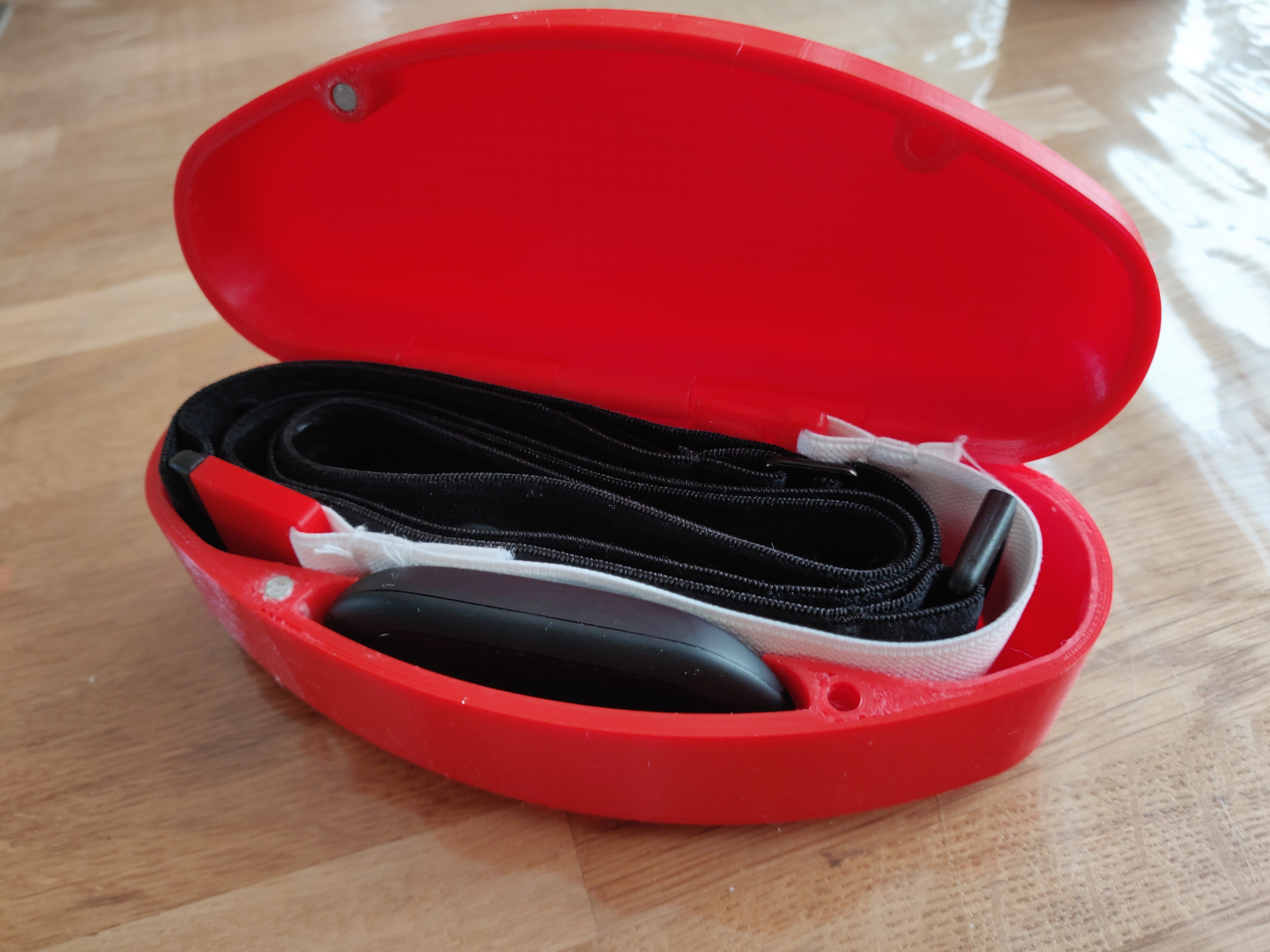 Polar H10 Storage box