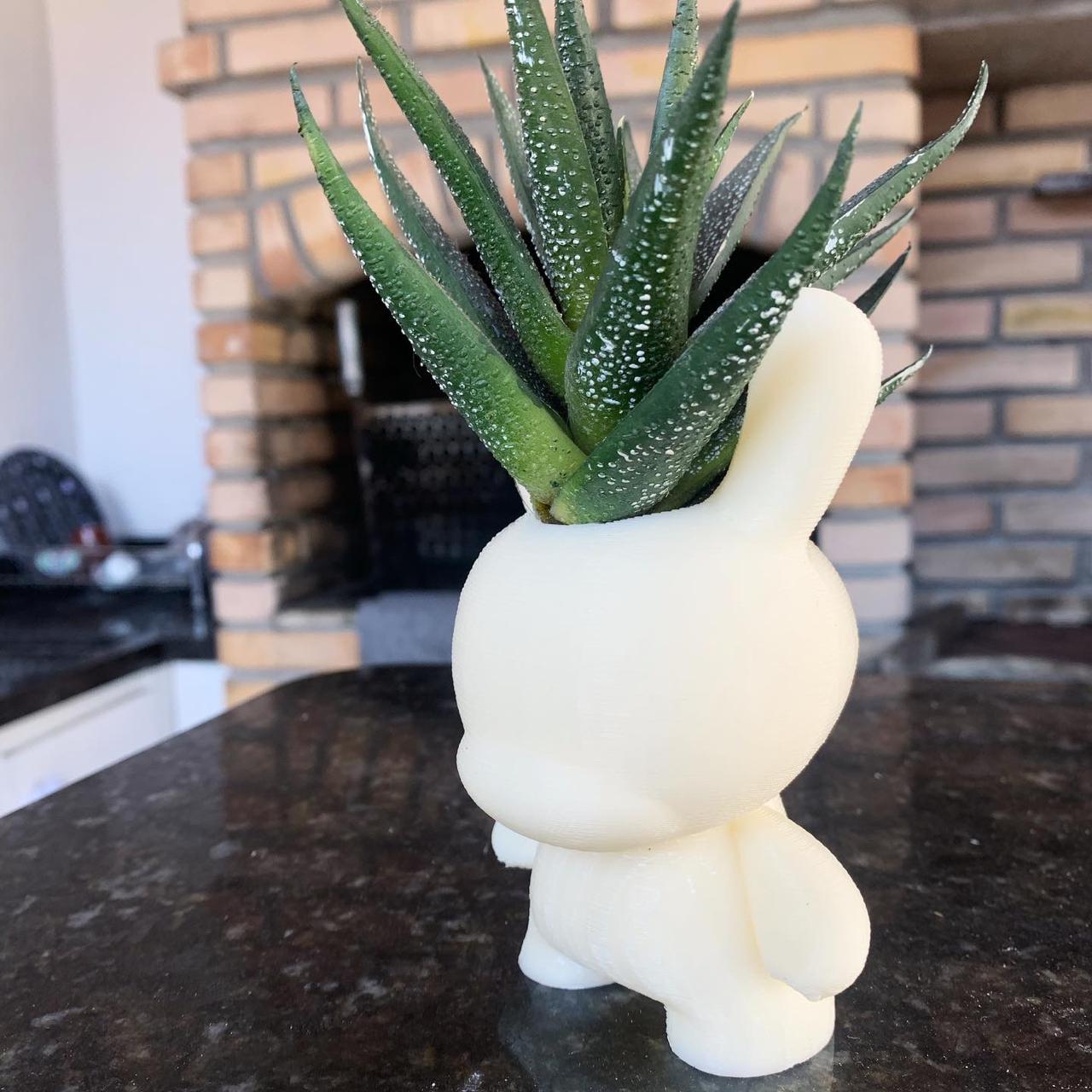 Dunny Pot
