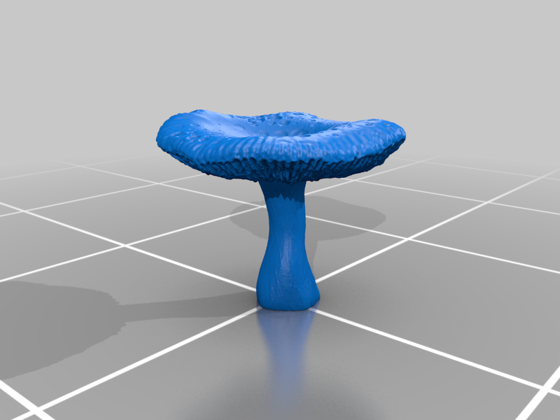 Mushroom