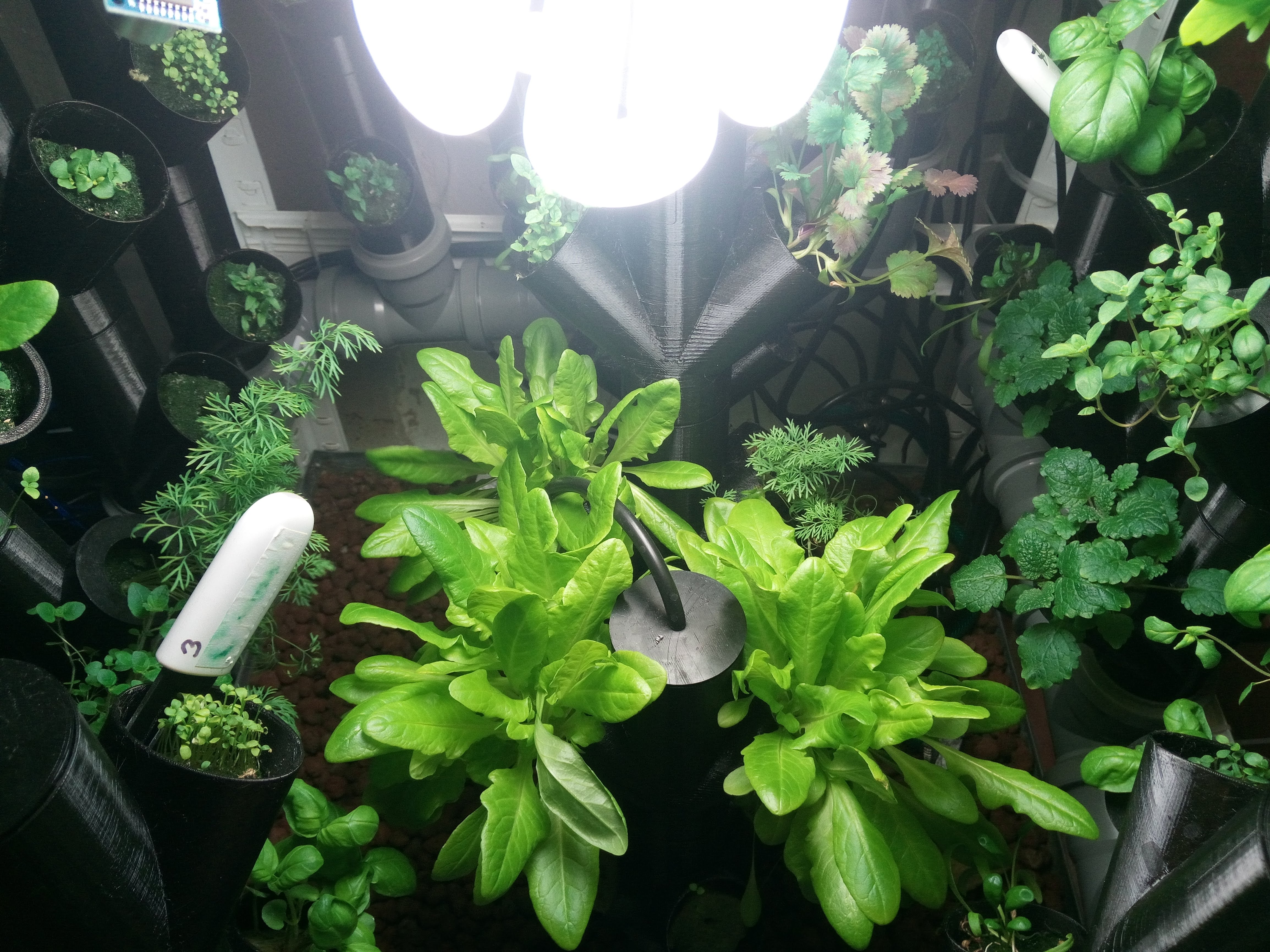 Configurable Hydroponic System