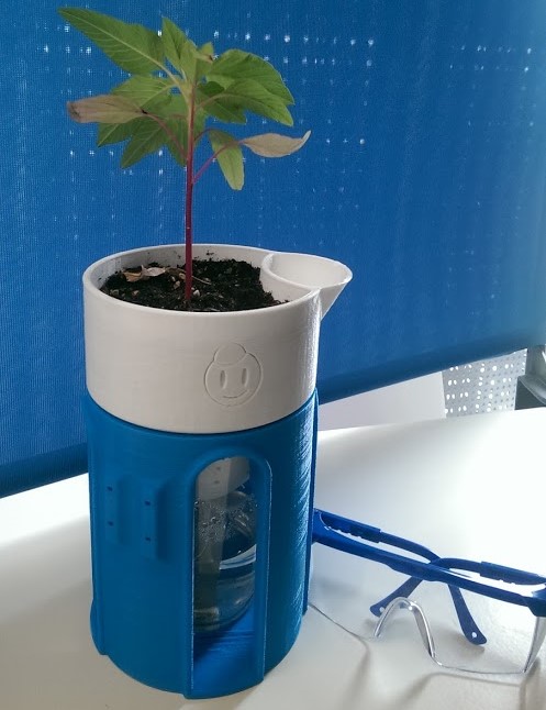 Friendly Latte Planter