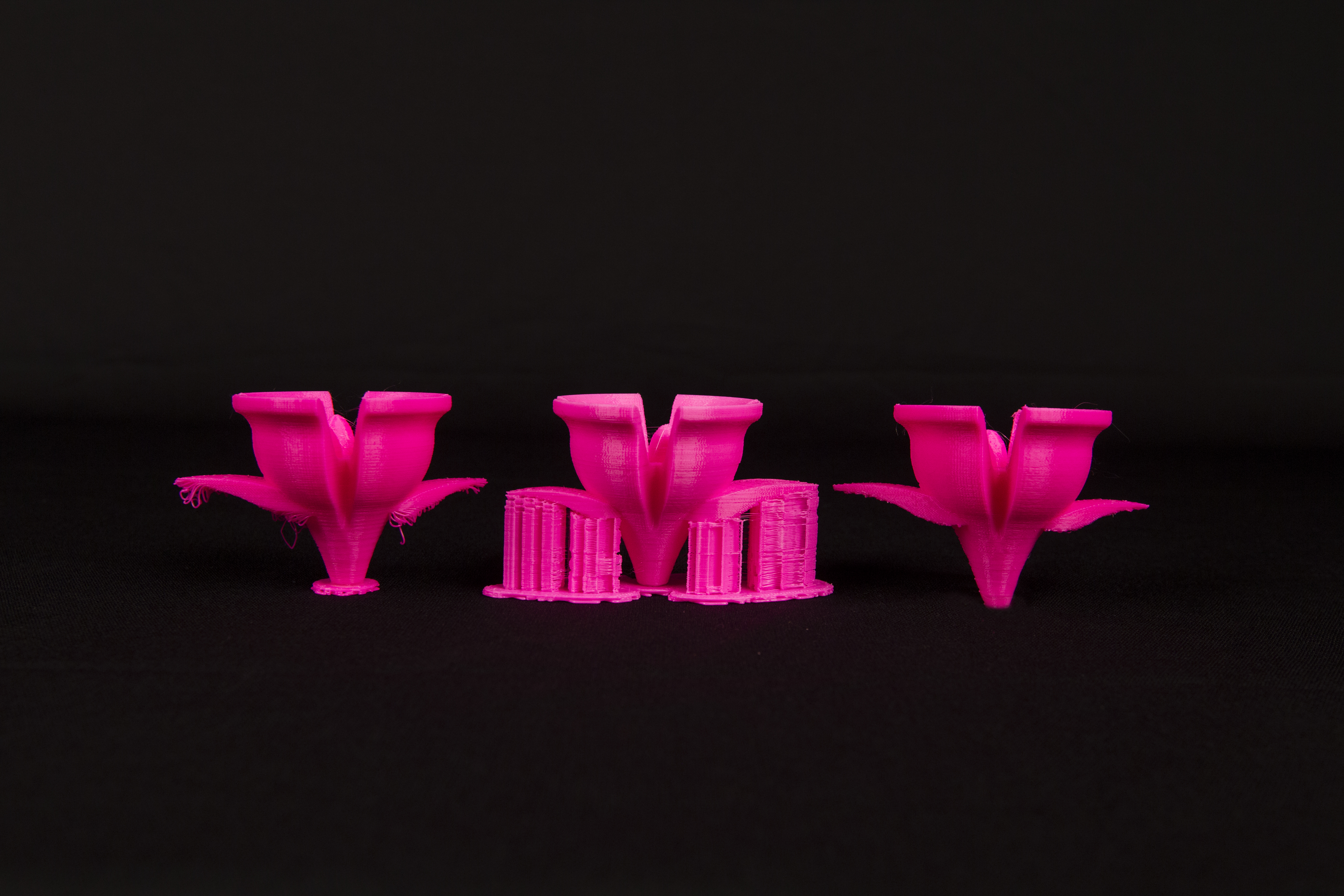 Rafts and Supports Flowers