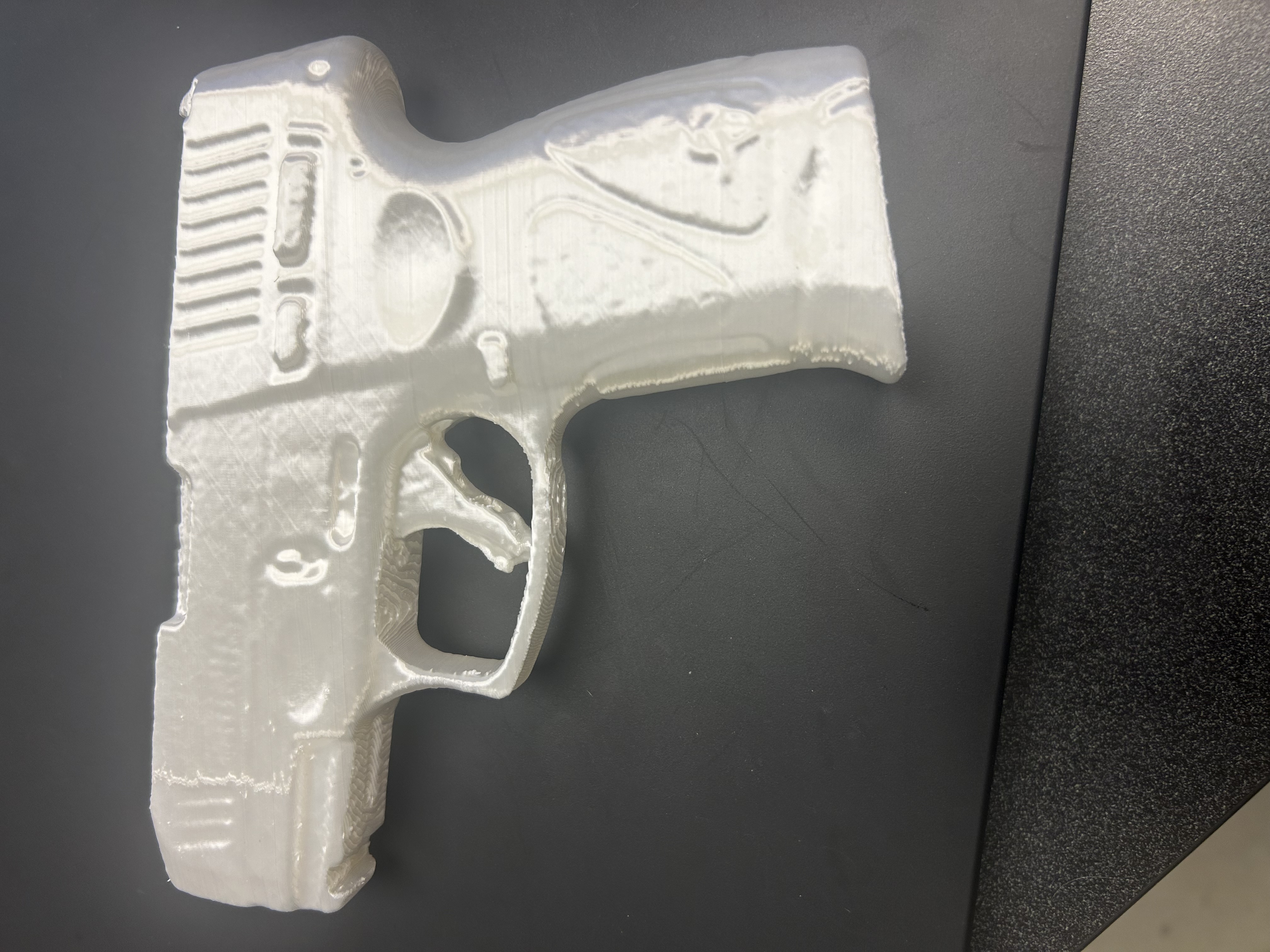Taurus G3C Trainer