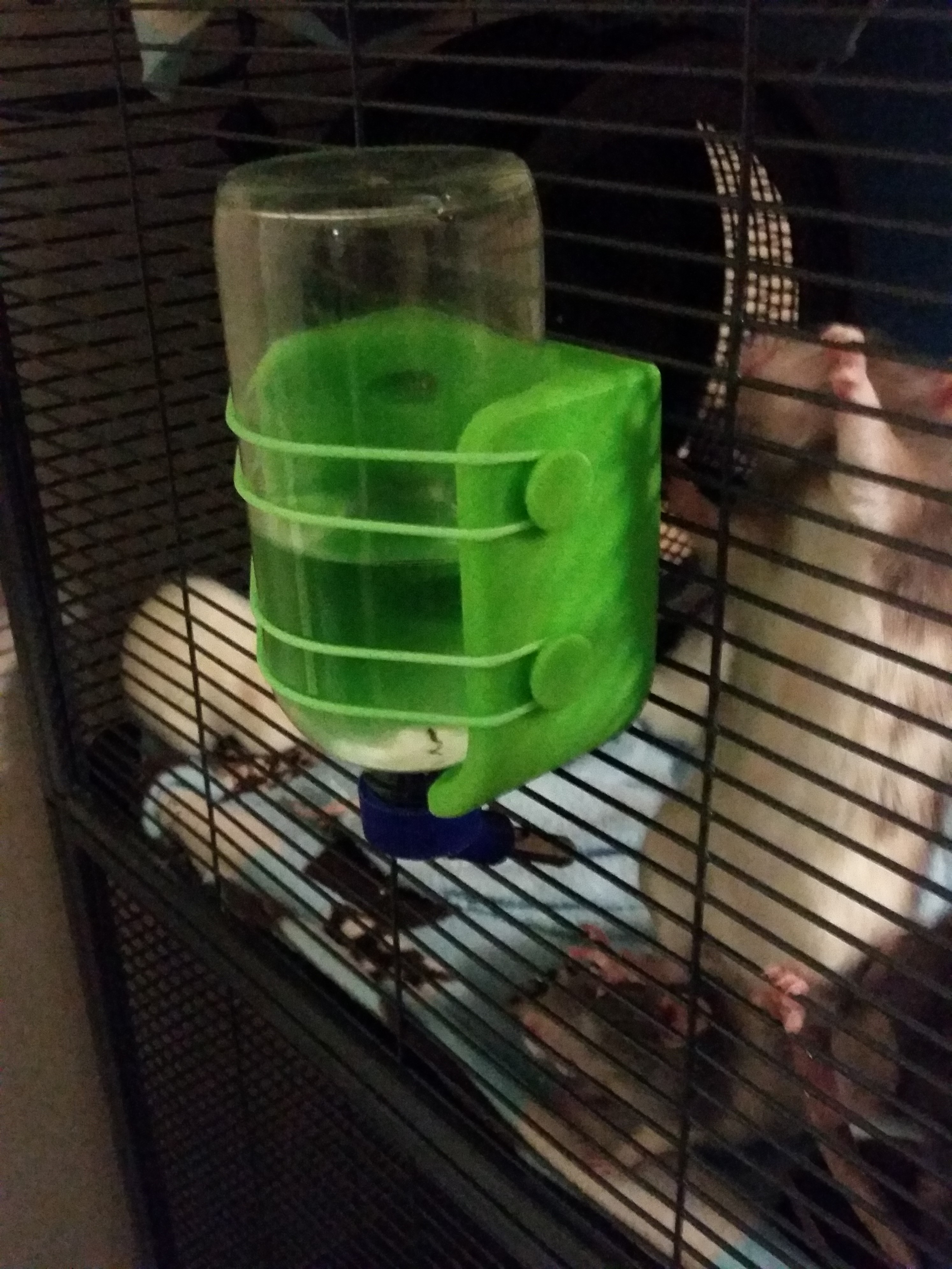 Water bottle holder for critter nation