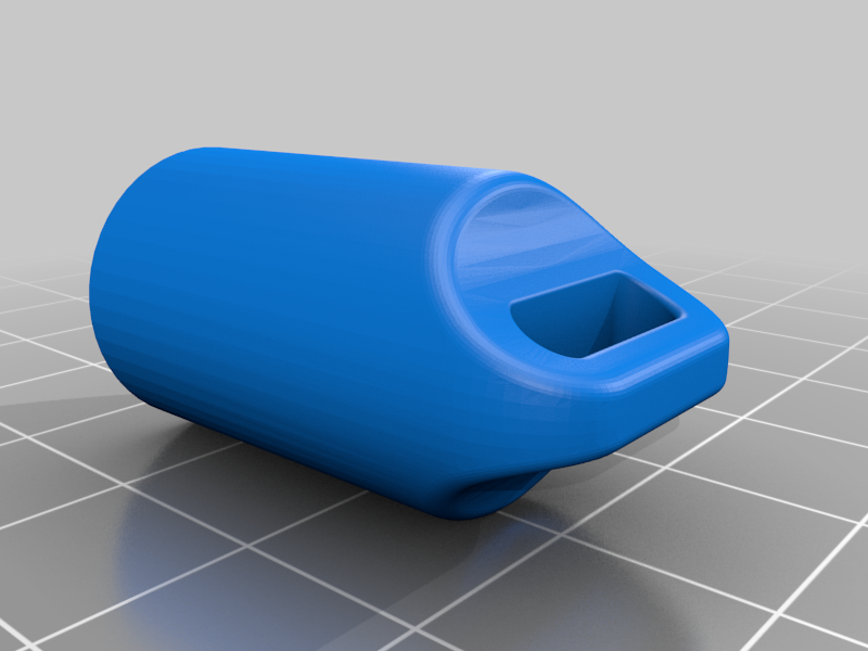 Novorapid Insulin holder keyring