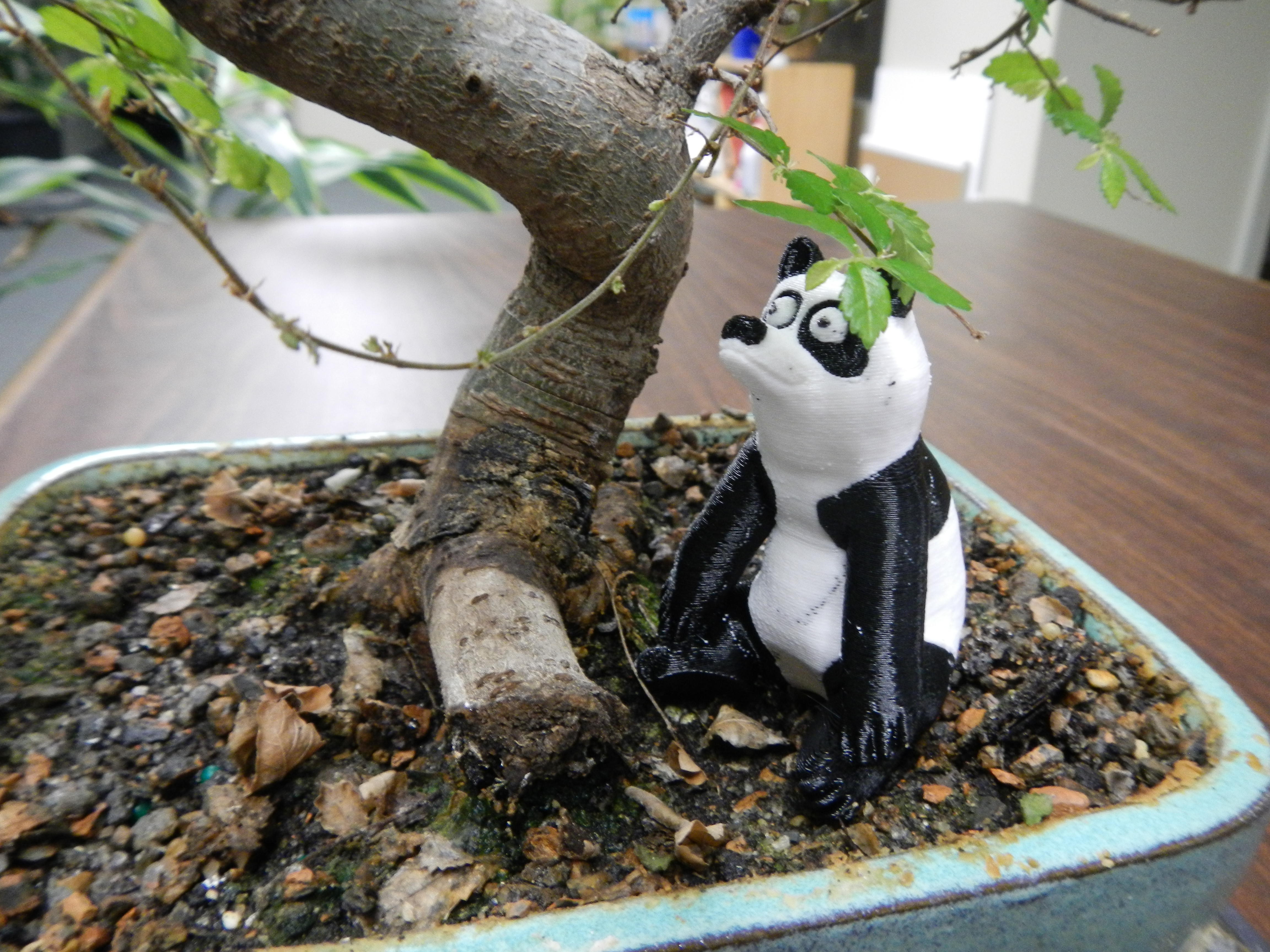 Panda