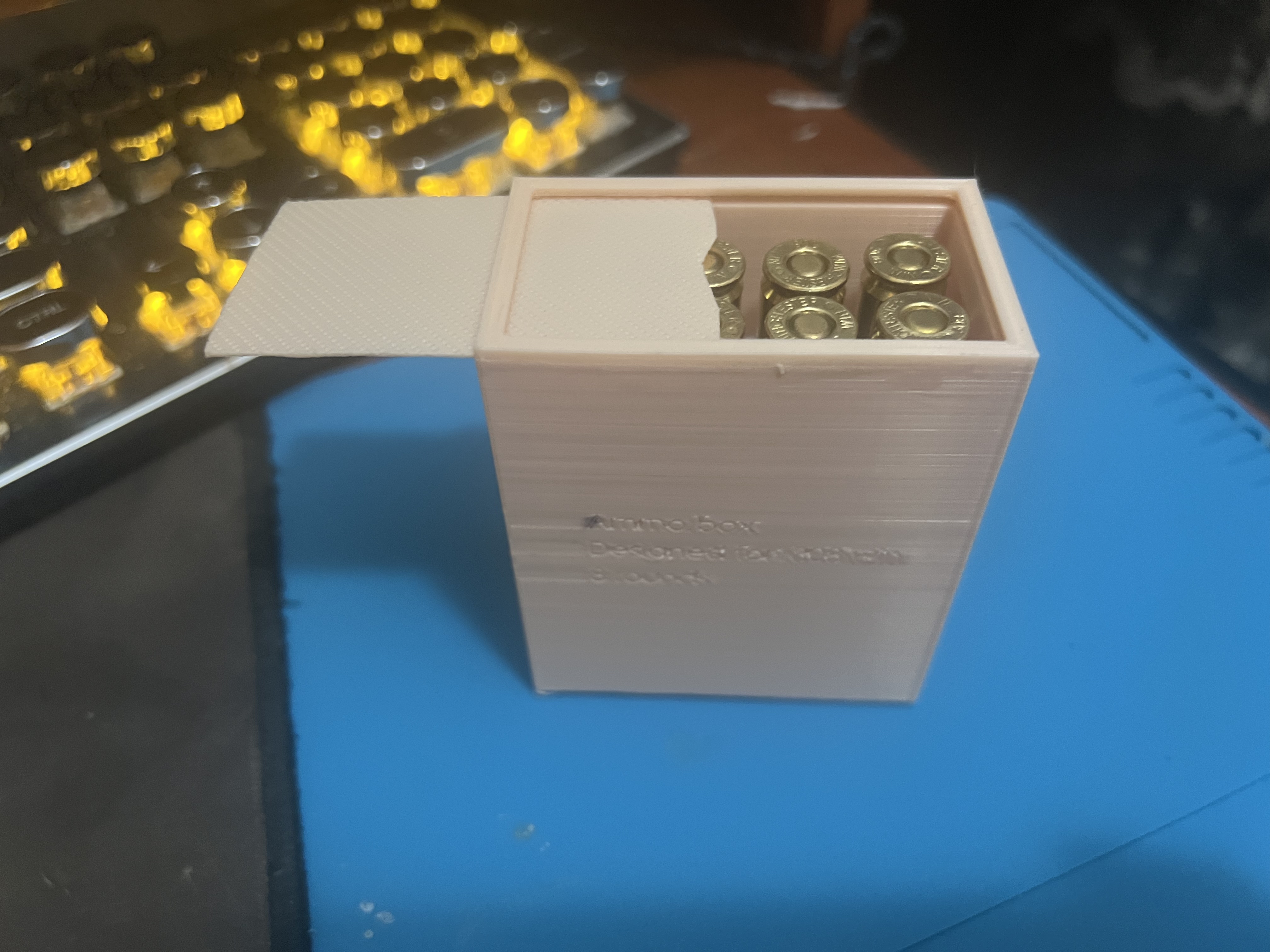WIN308 AMMO Box 8 rounds with cover