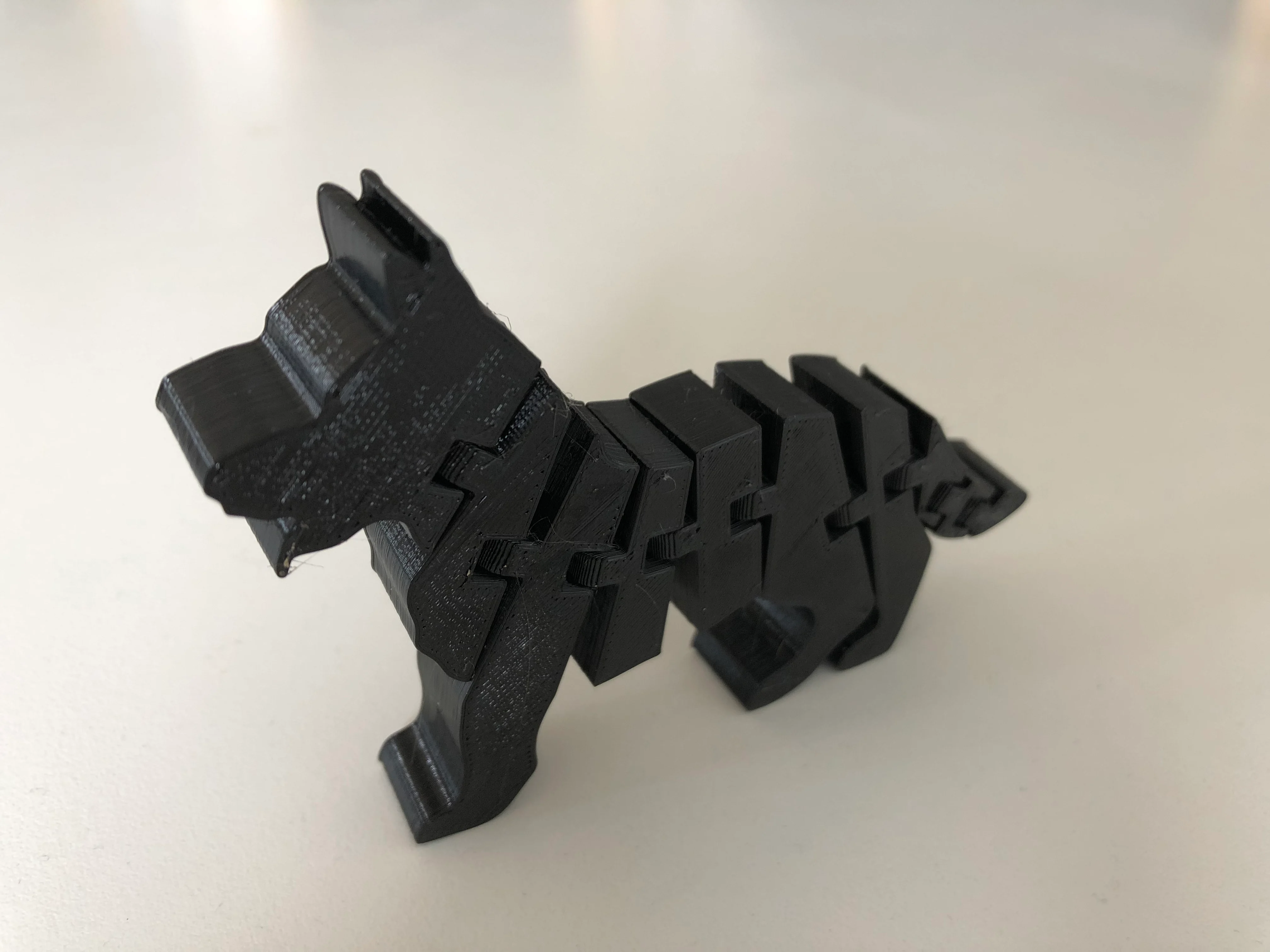 Flexi shepherd puppy