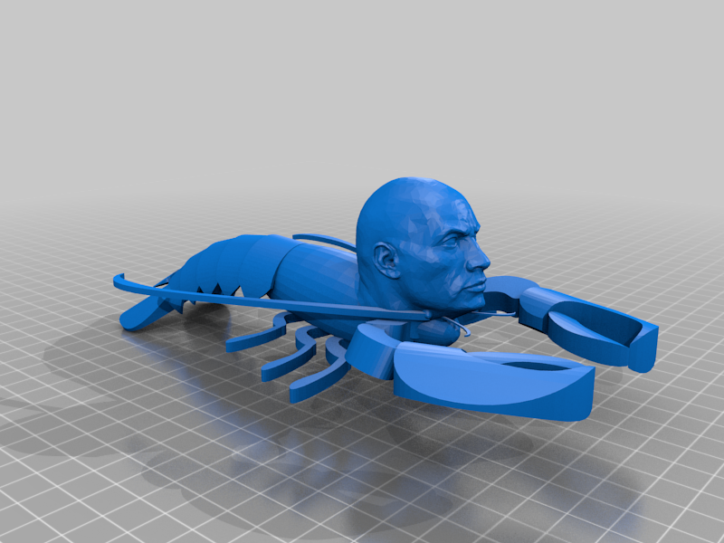ROCK LOBSTER !!
