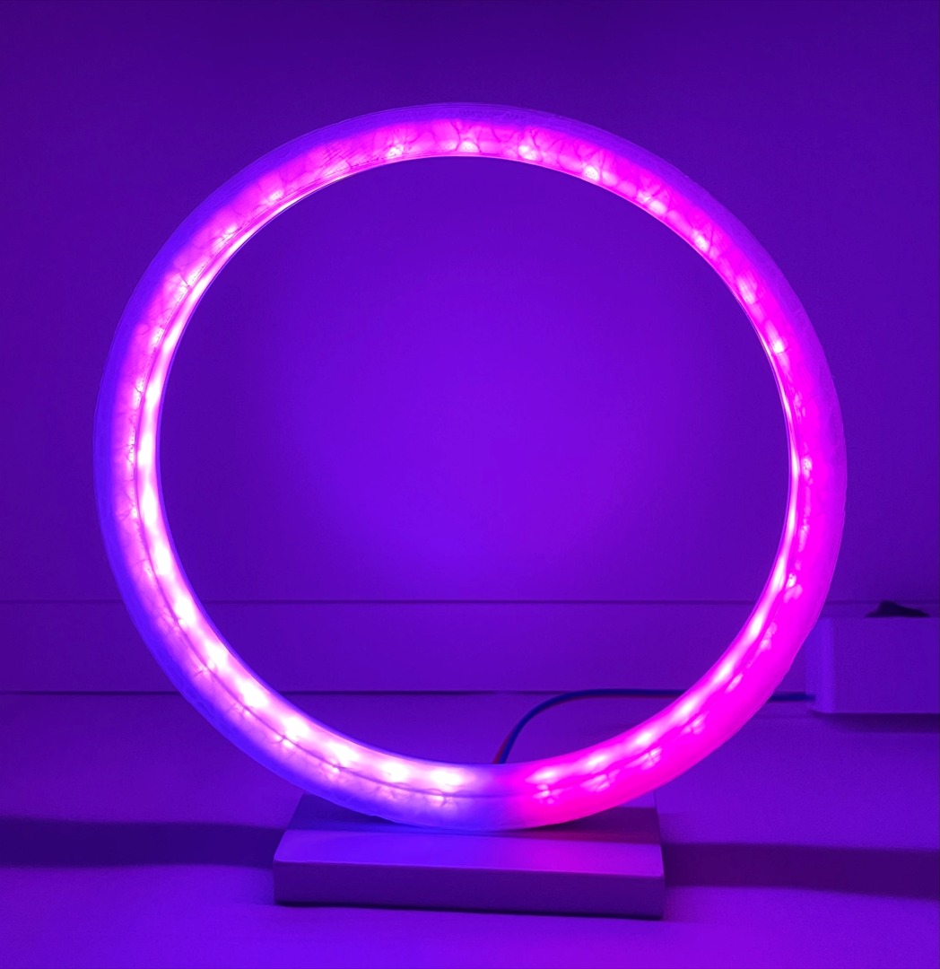 LED Ring Lamp