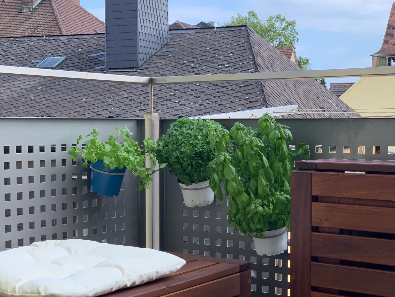 Herb Pot Holder