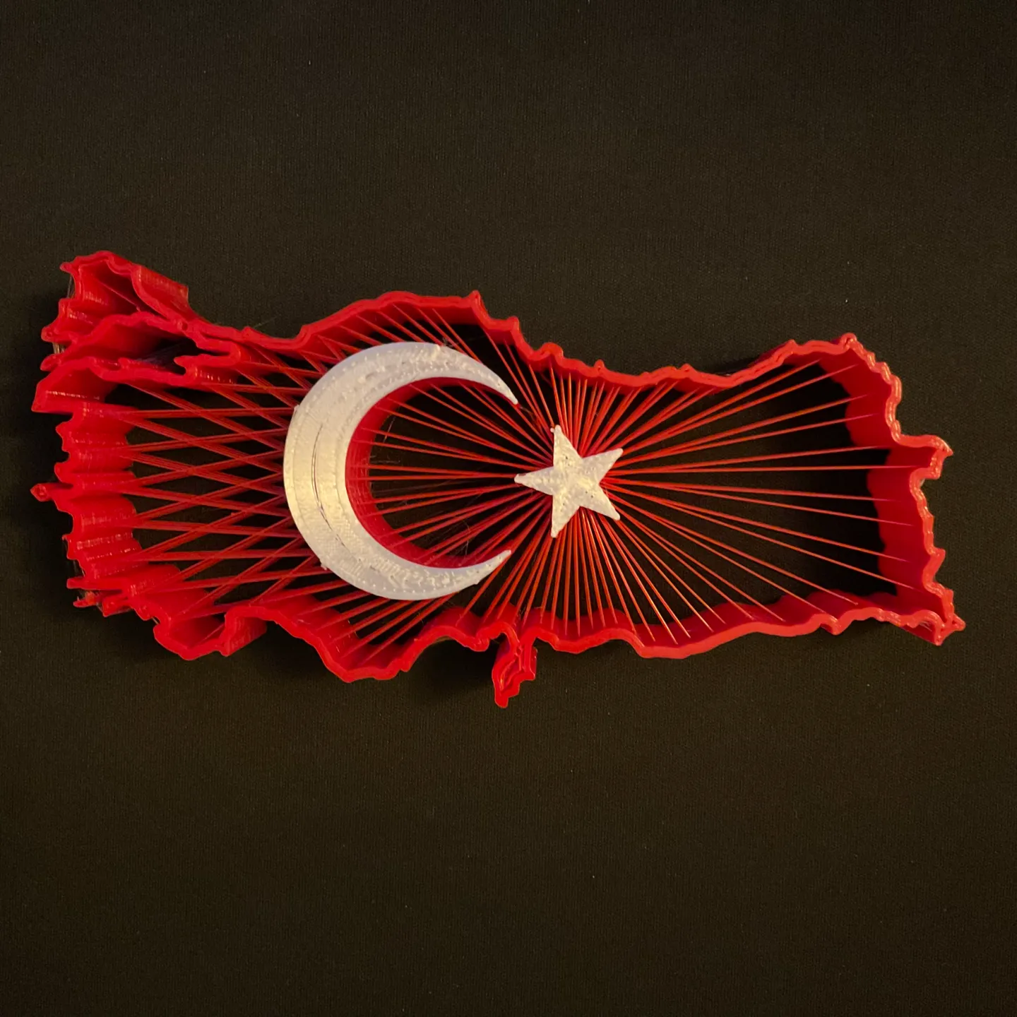 Turkey String Art