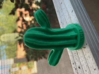 Saguaro Cactus with Base