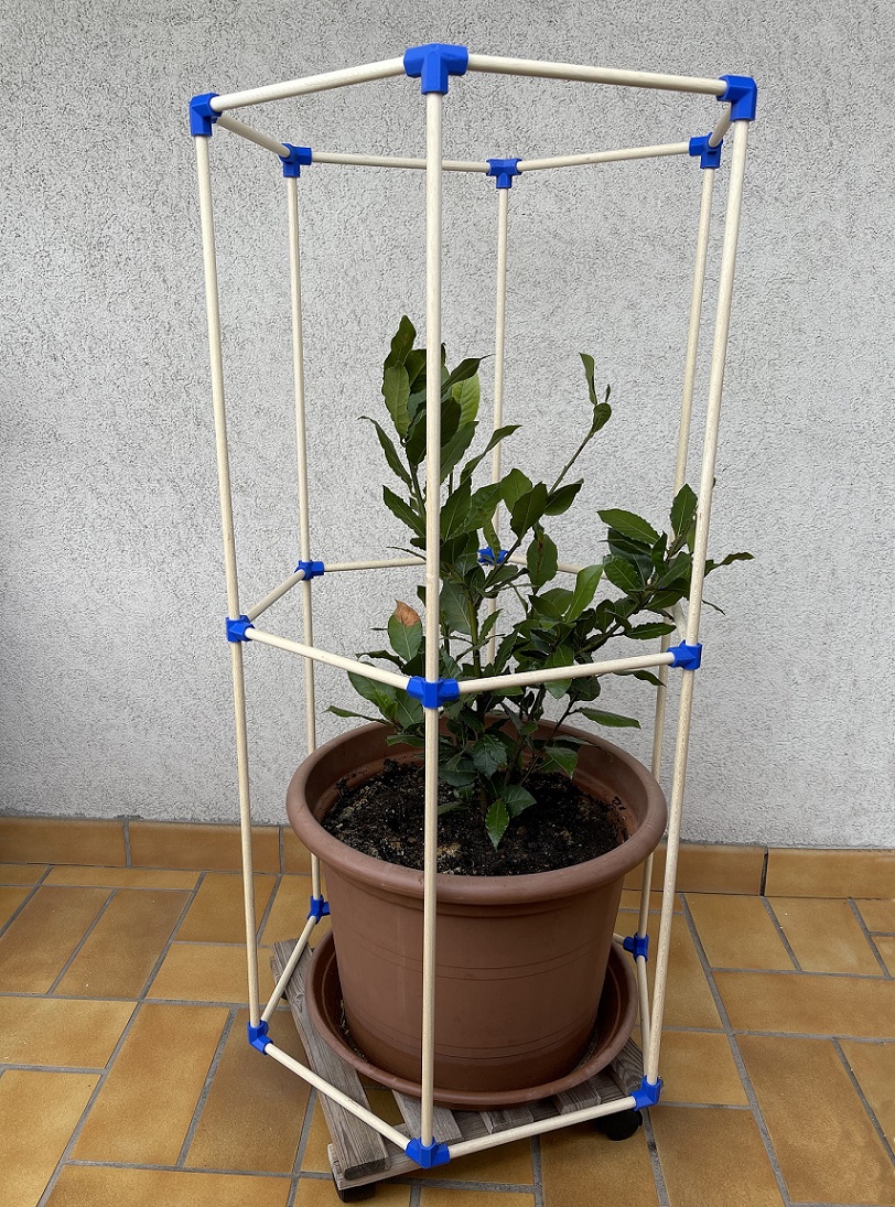 Winter Greenhouse for Pots