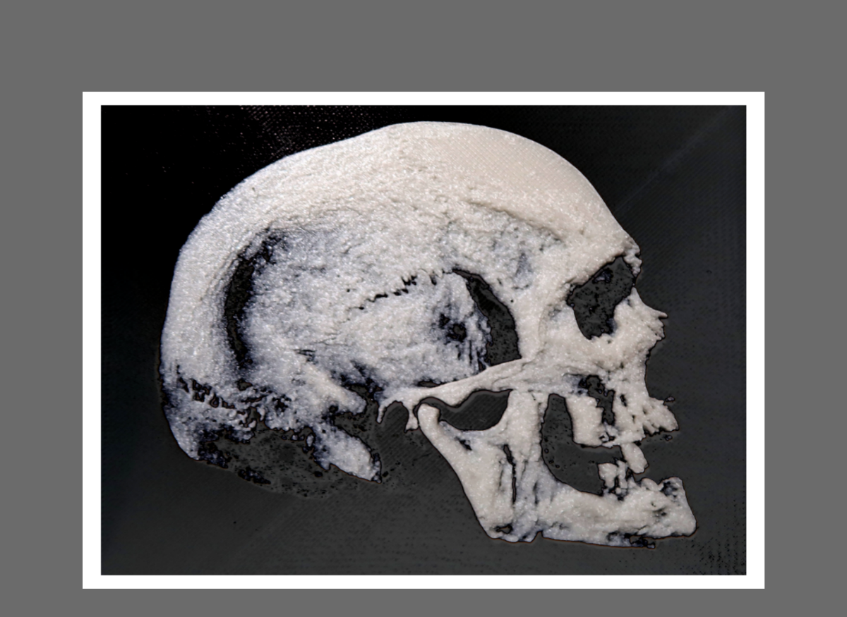 skull 3D