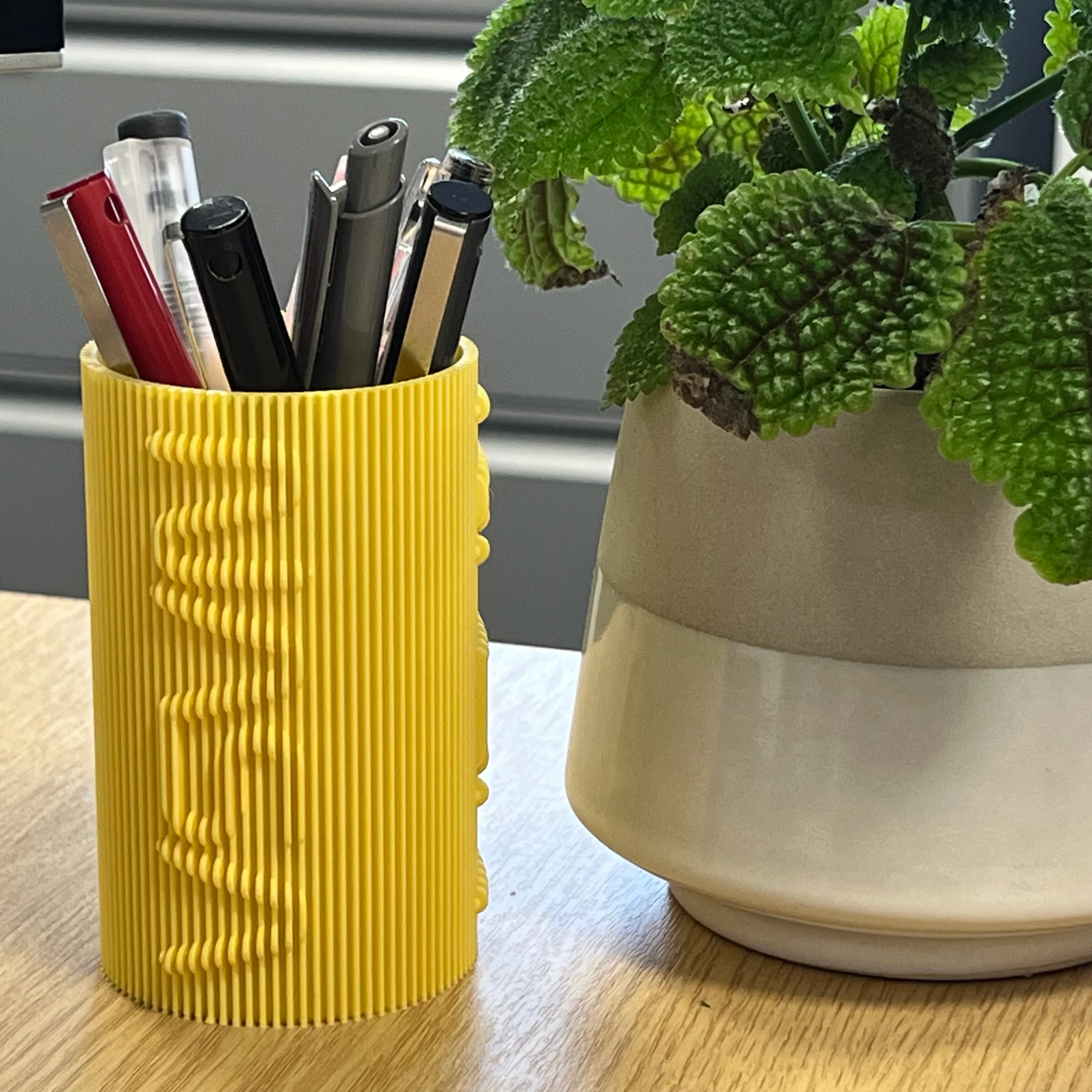 Modulated Surface NASA Pen Holder - Vase Mode