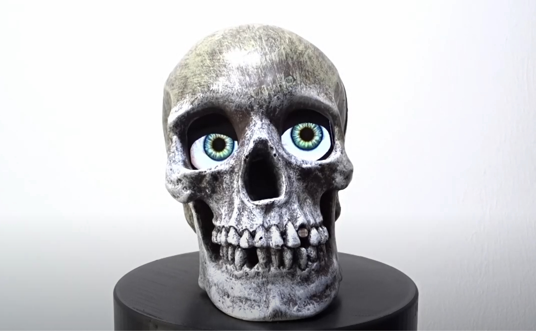 Electronic Eyes