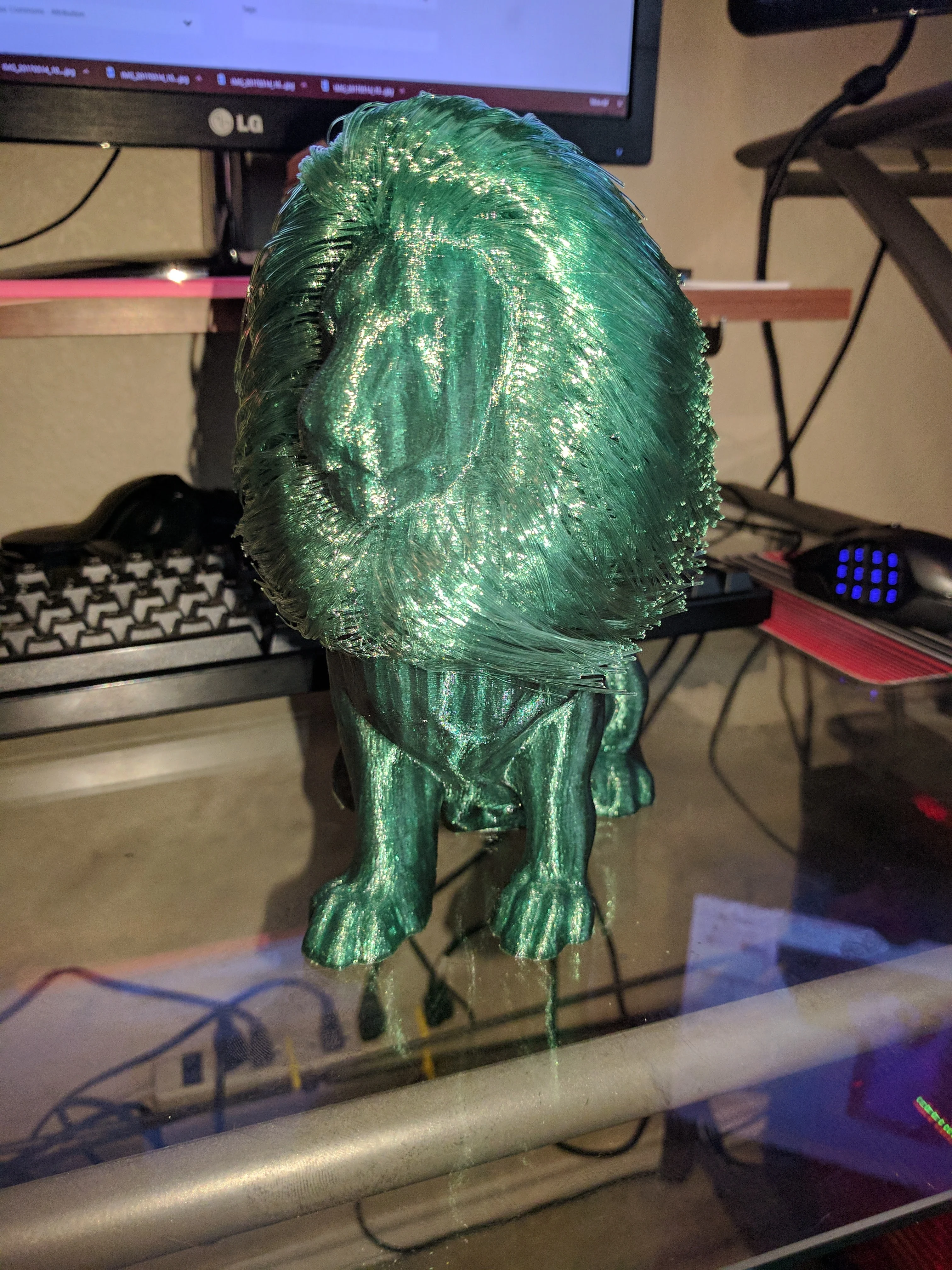 Hairy Lion With Brim