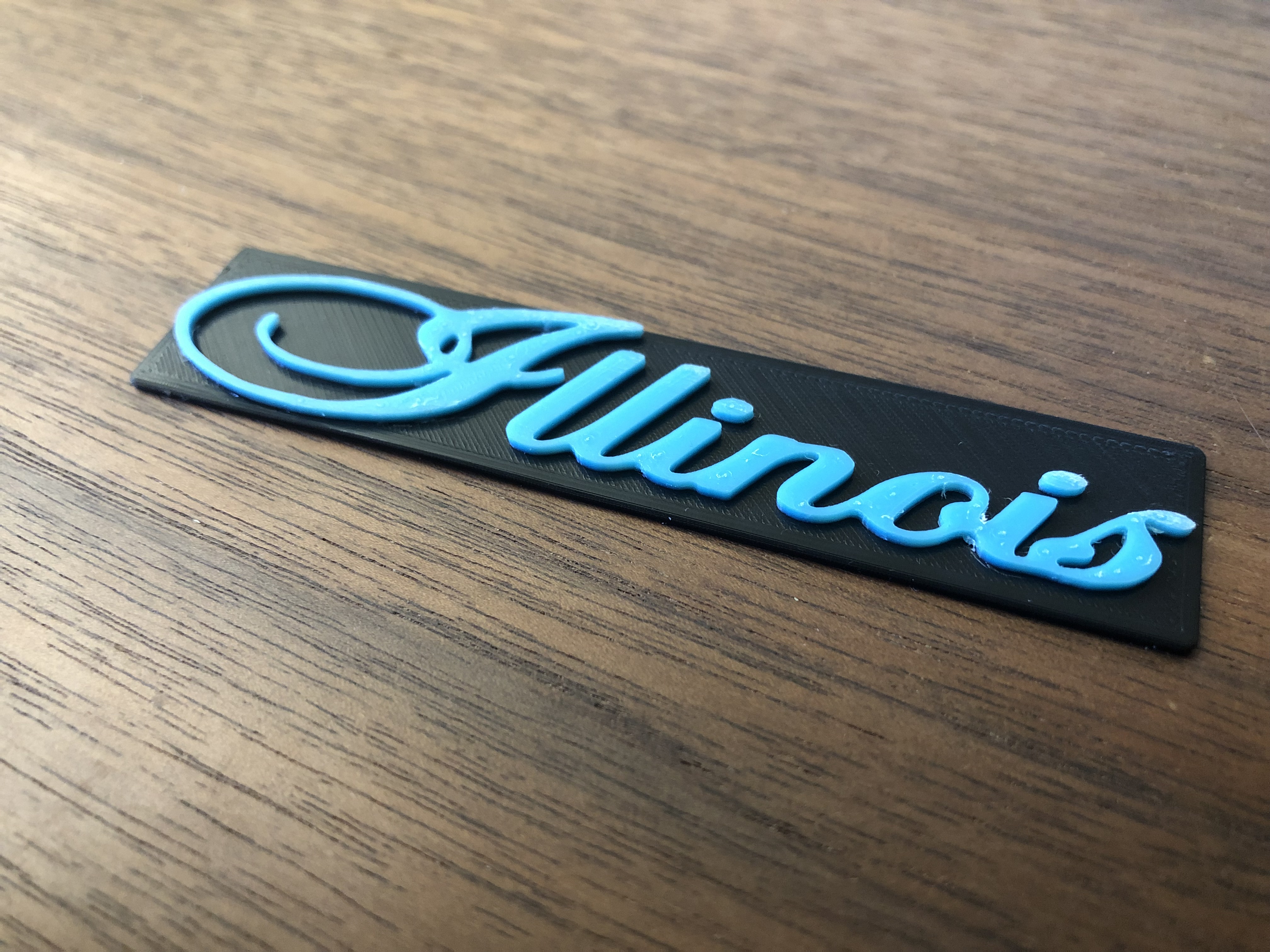 Illinois licence plate signature
