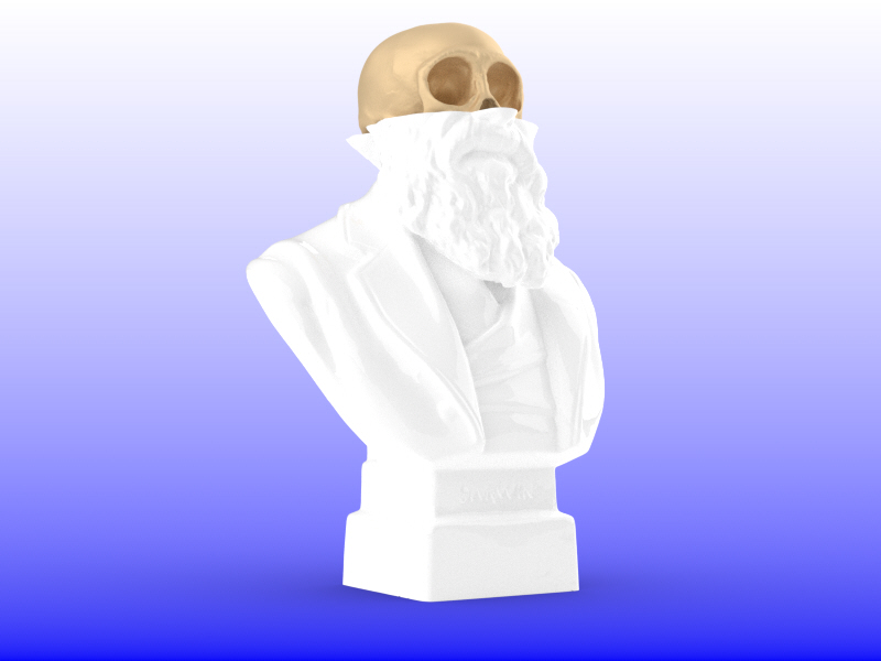 Darwin skull 01