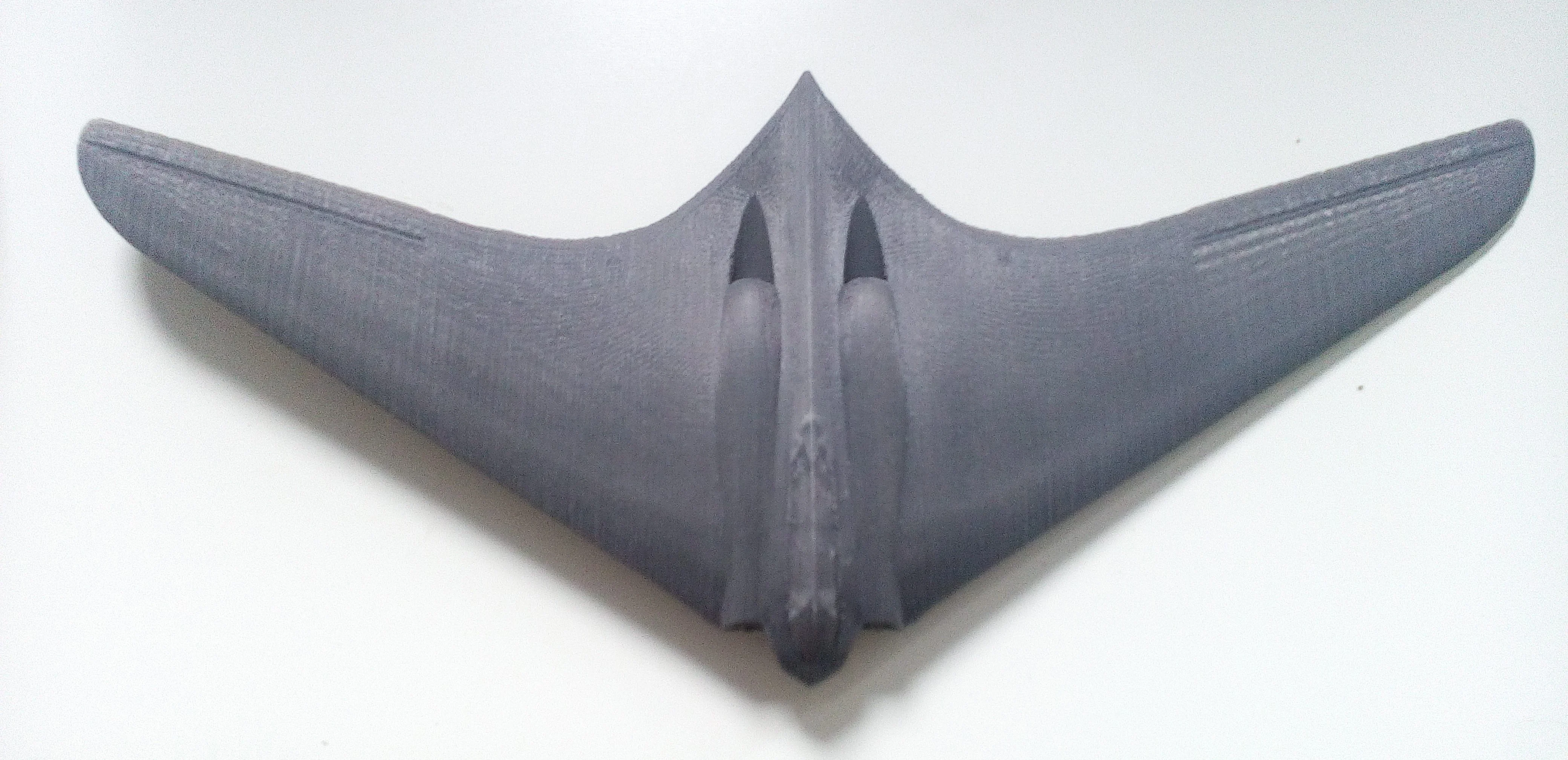 Horten Ho 229 (in flight configuration)